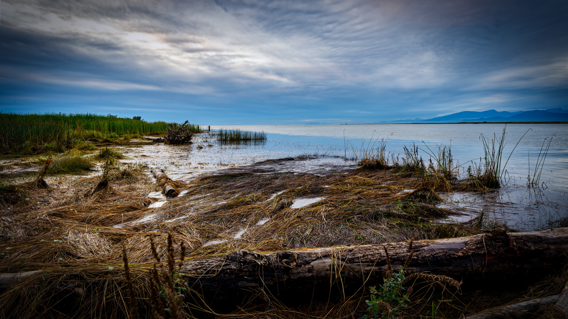 , fraser, river, british, columbia, 