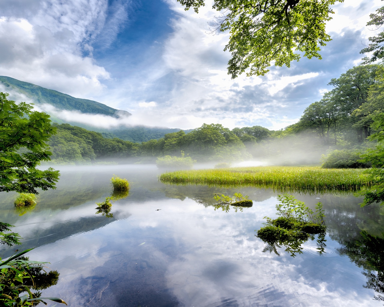 , , nara, prefecture, , 