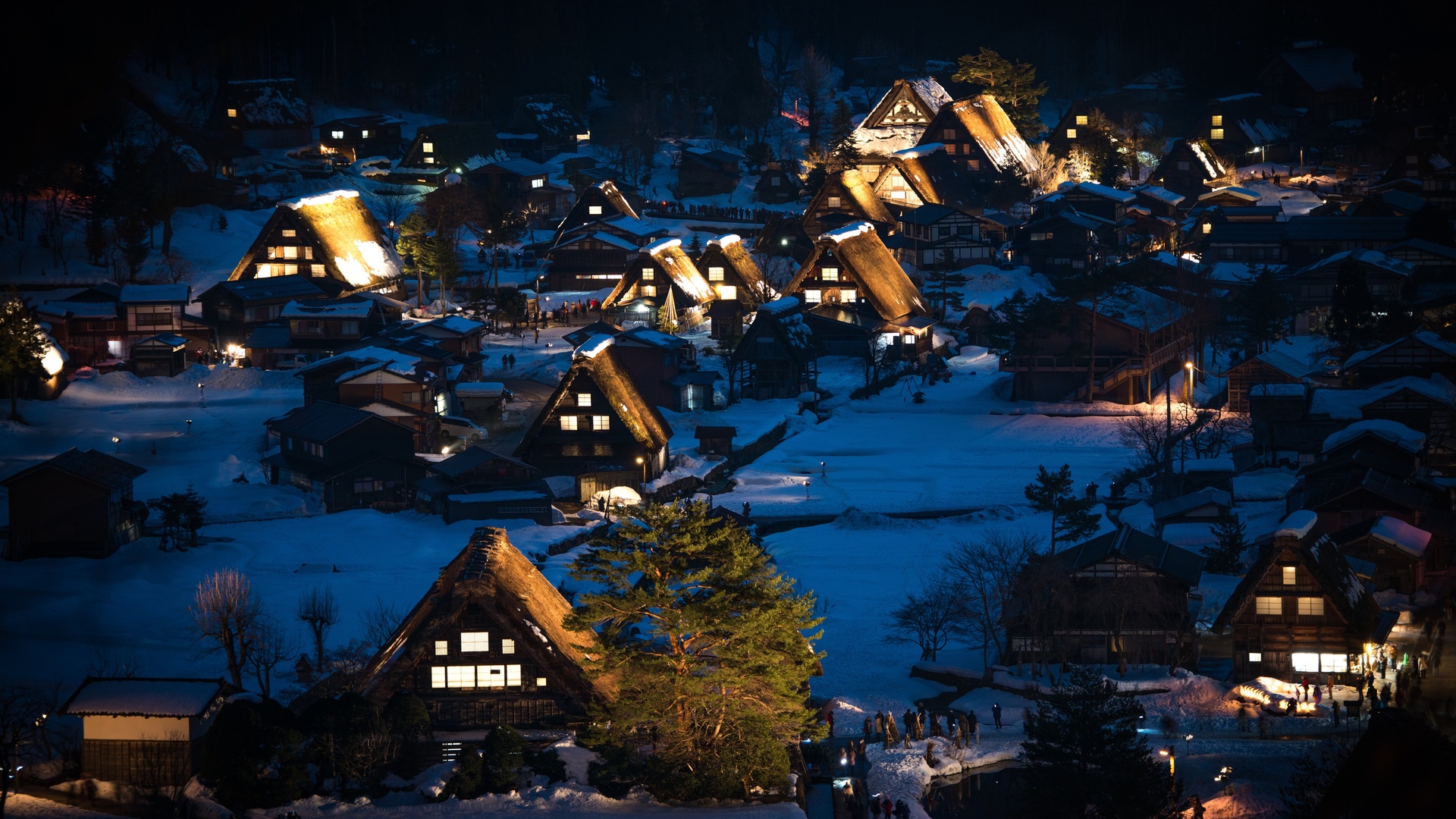 Картинки Япония, дома, shirakawa-go, honshu, деревня, ночь, деревья - обои  1920x1080, картинка №451714