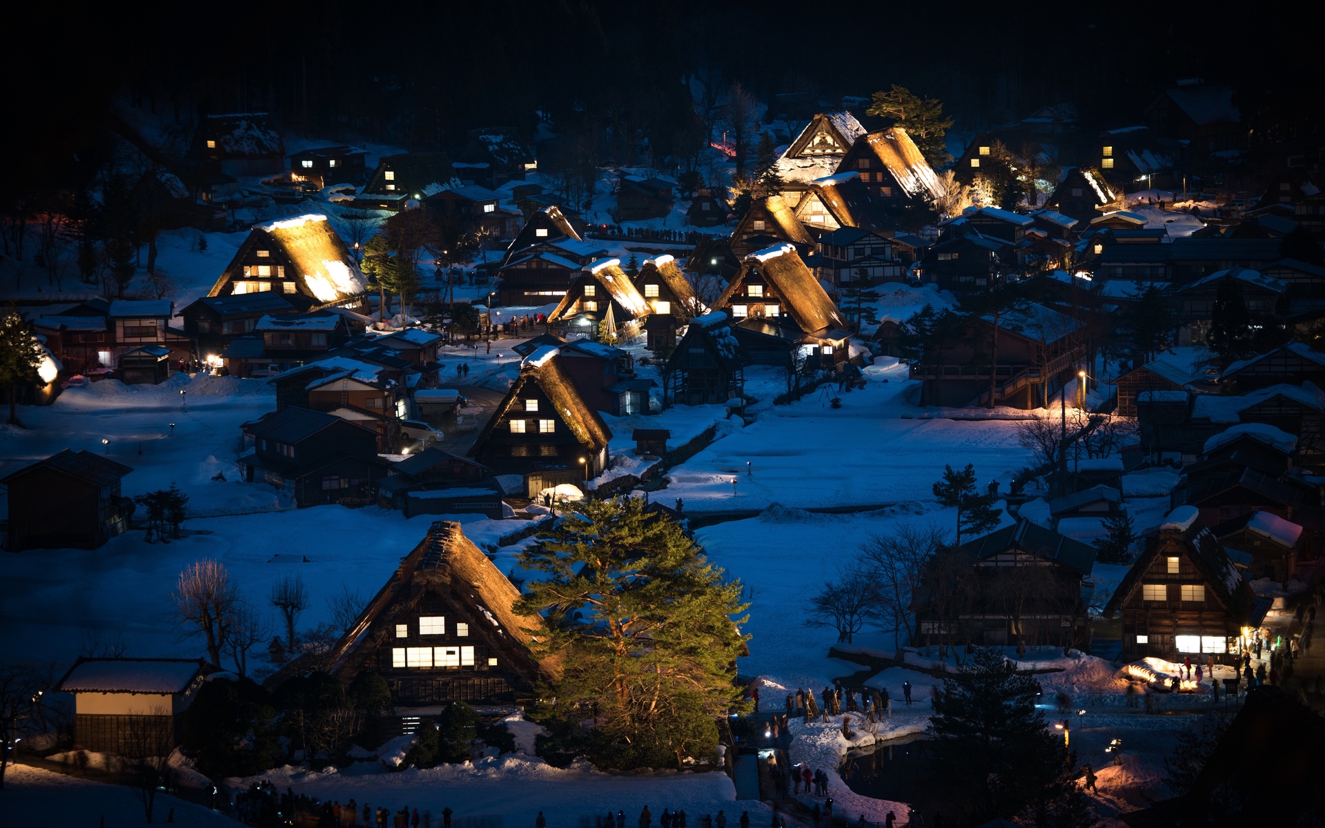 Картинки Япония, дома, shirakawa-go, honshu, деревня, ночь, деревья - обои  1920x1200, картинка №451714