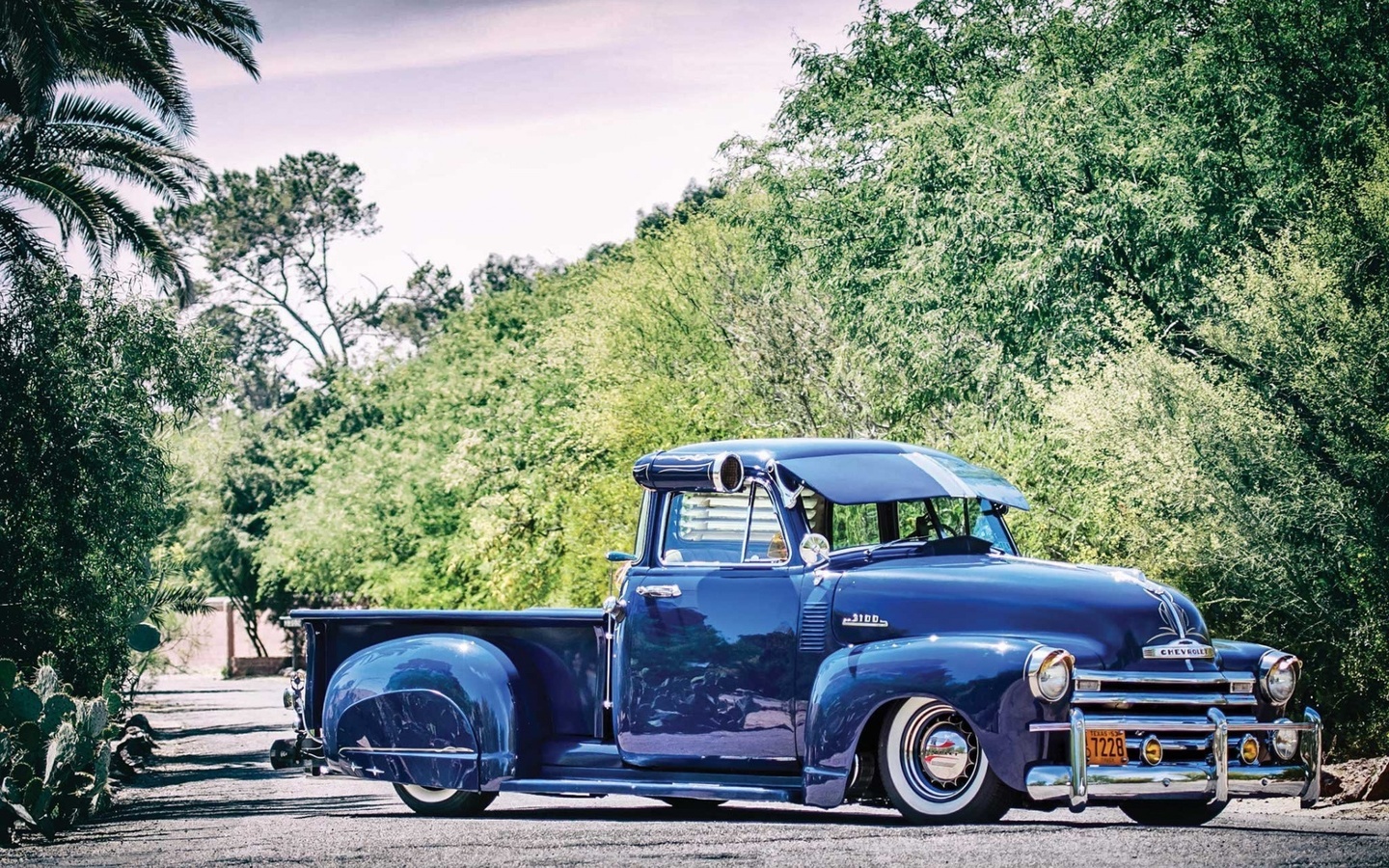 chevrolet, truck, 3100