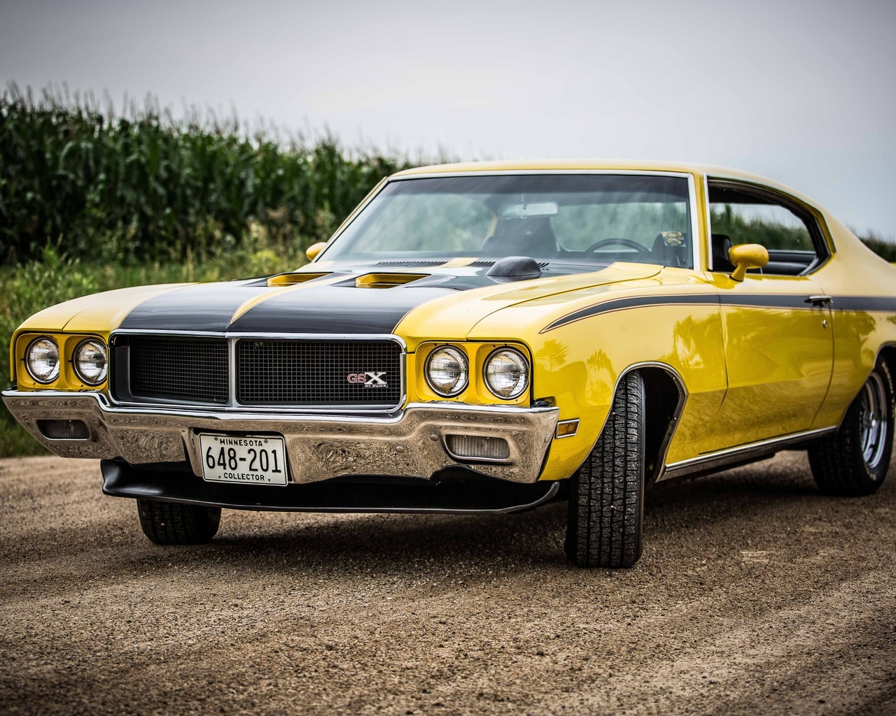 american, classic, car, buick, gsx