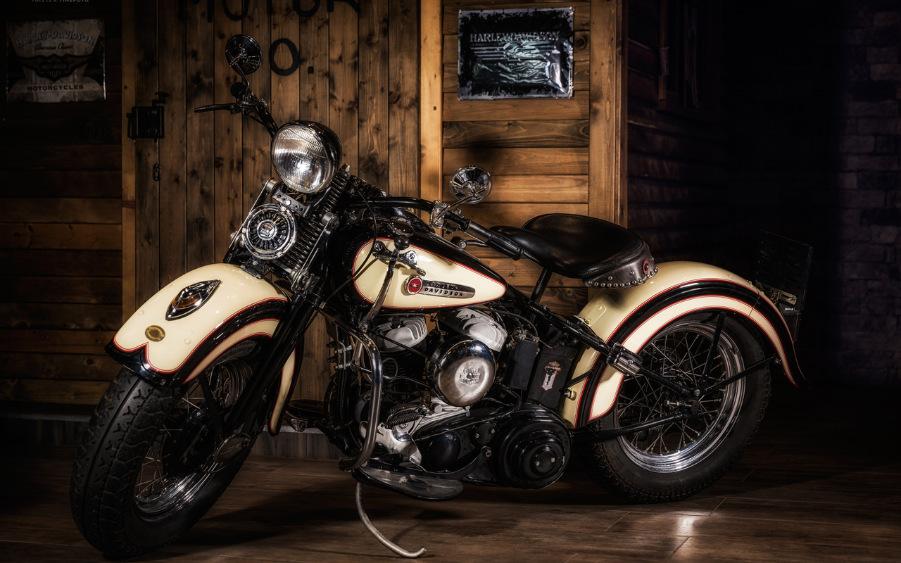 harley davidson, , 