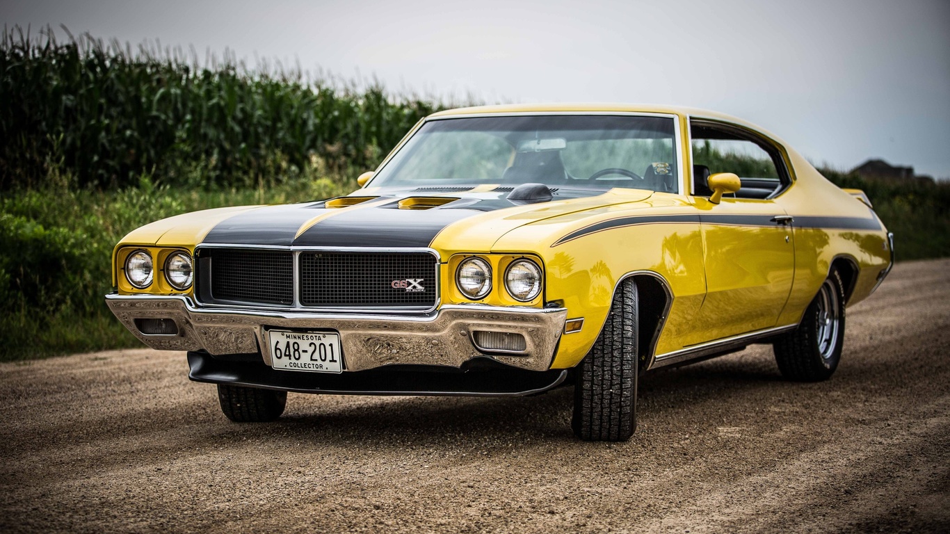 american, classic, car, buick, gsx