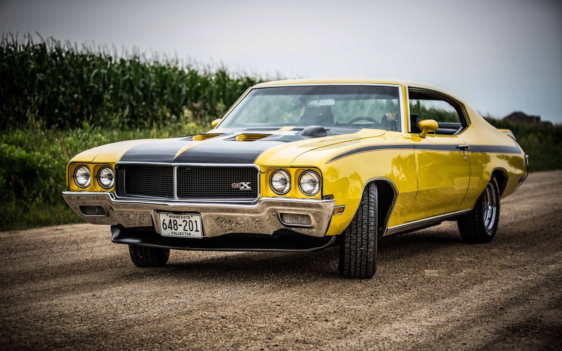 american, classic, car, buick, gsx