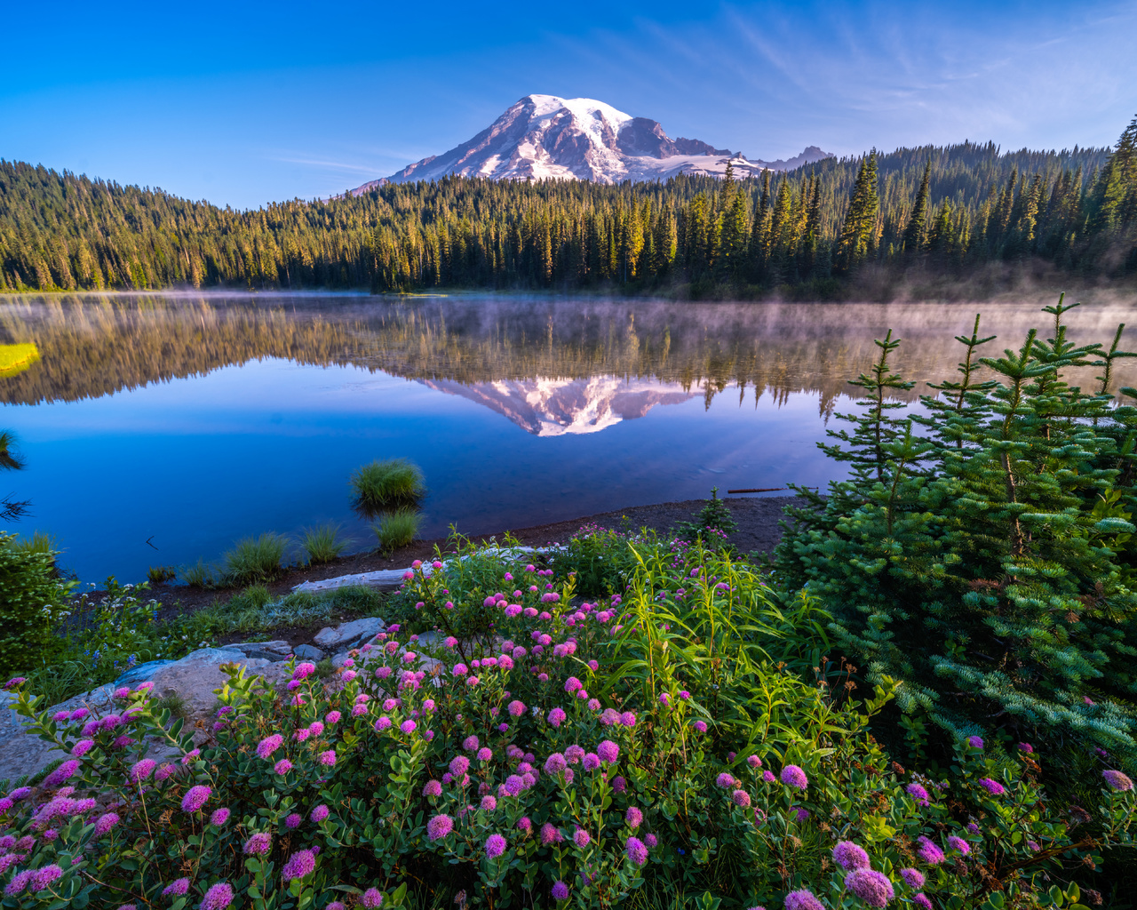 , , , mount rainier, national park, , , 