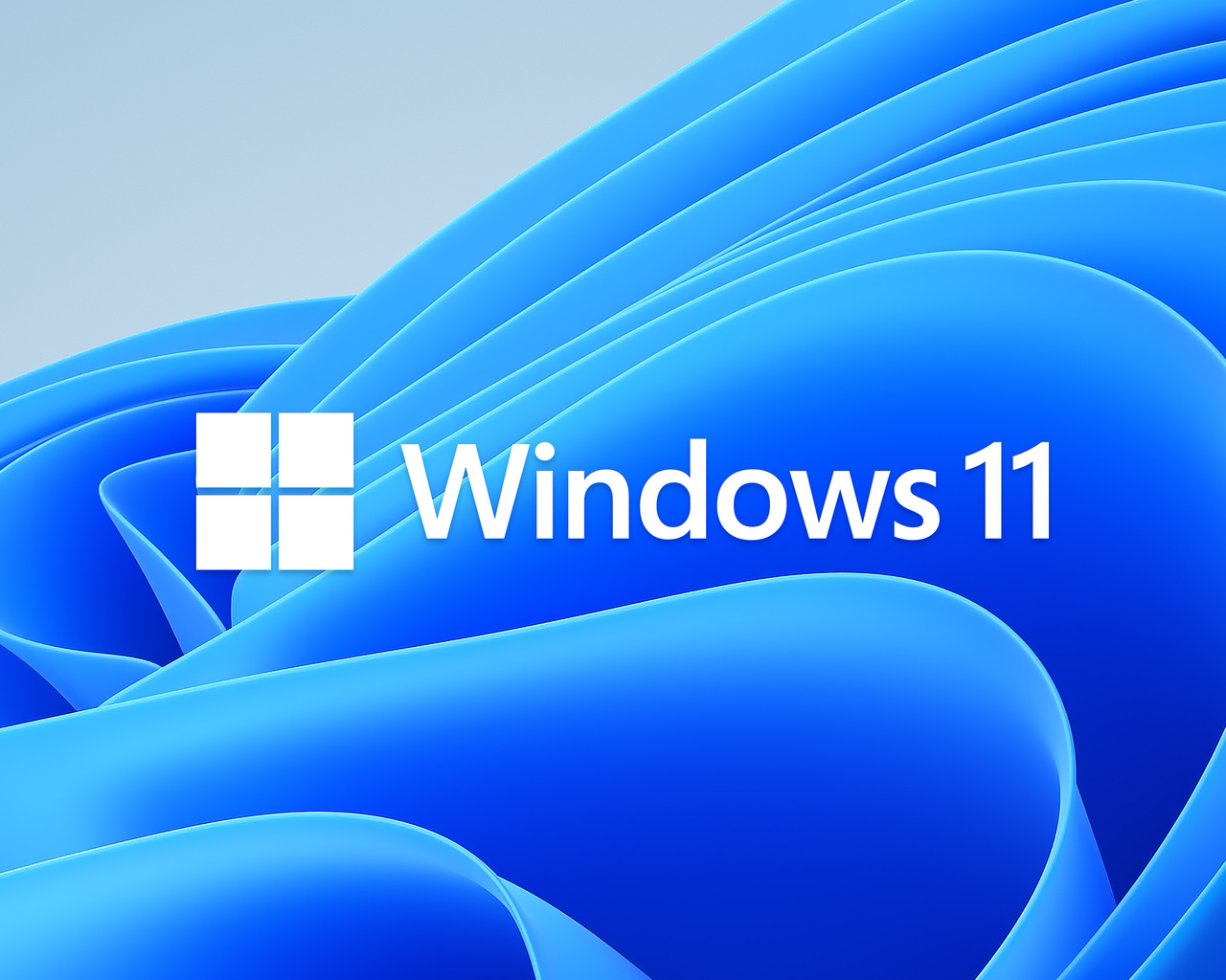 windows, 11