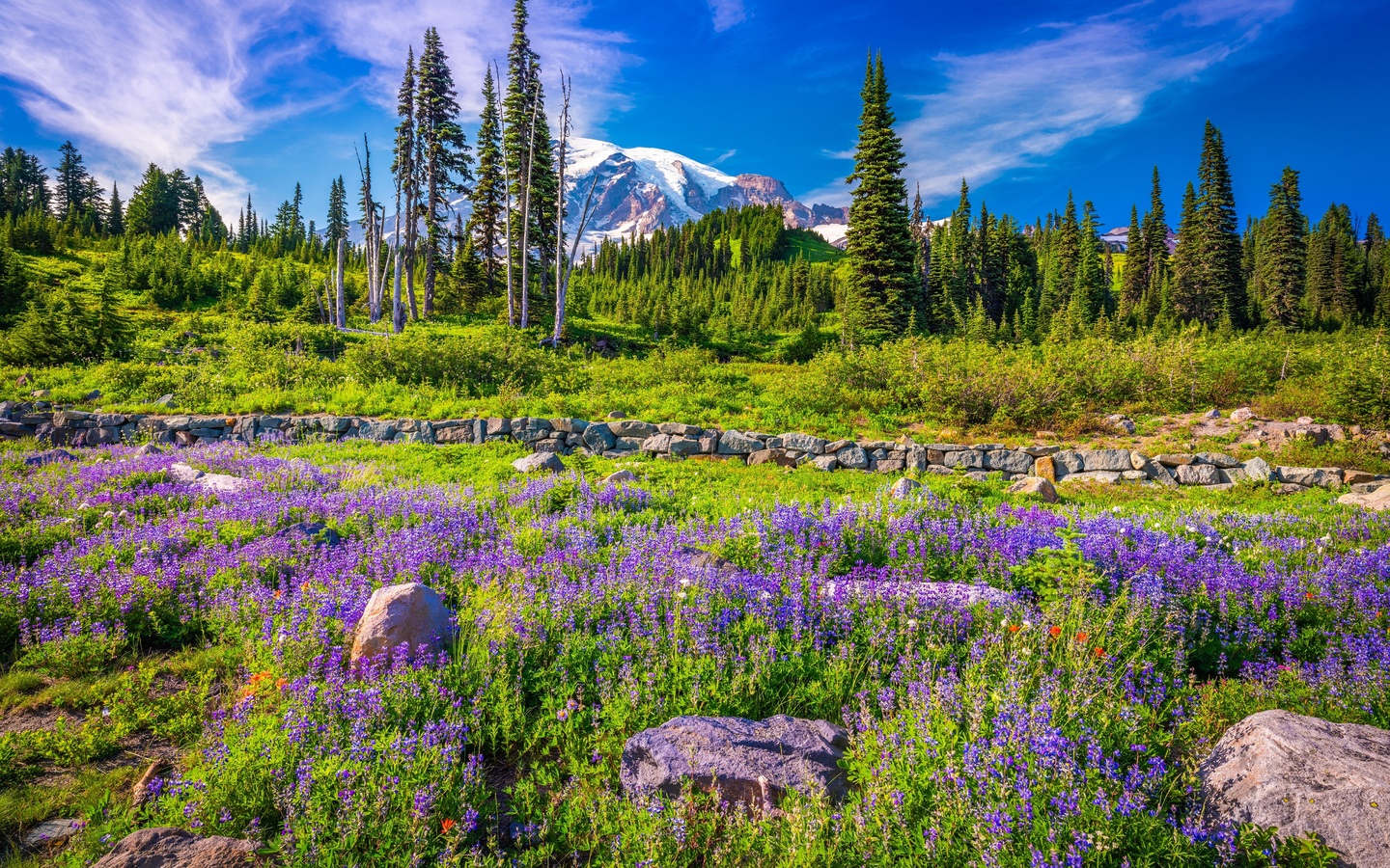 , , , mount rainier, national park, , , 