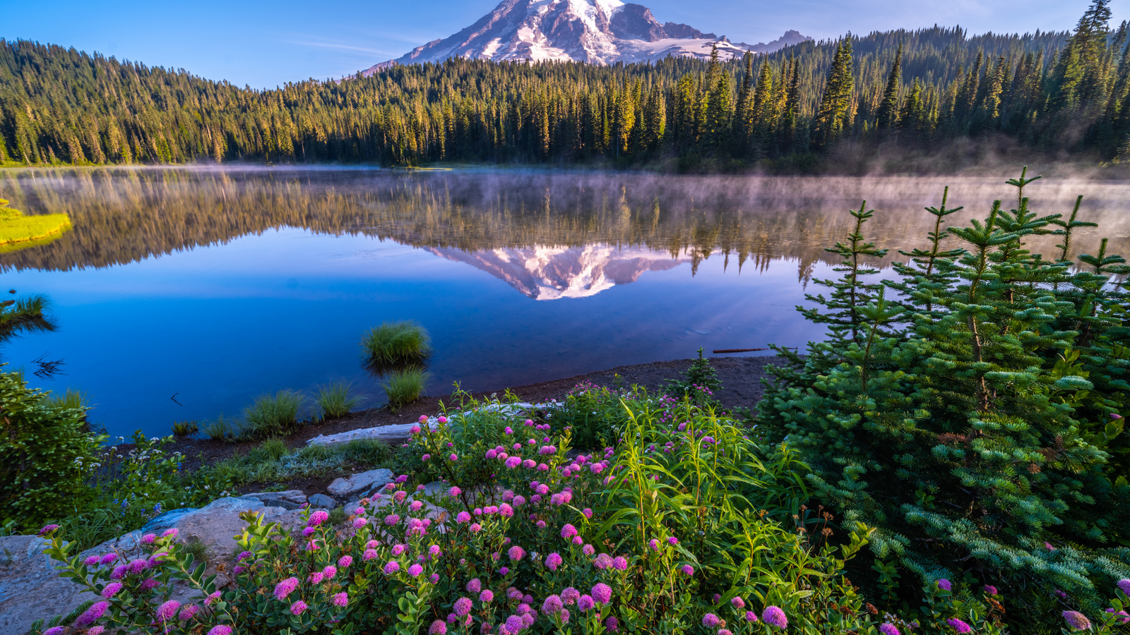 , , , mount rainier, national park, , , 