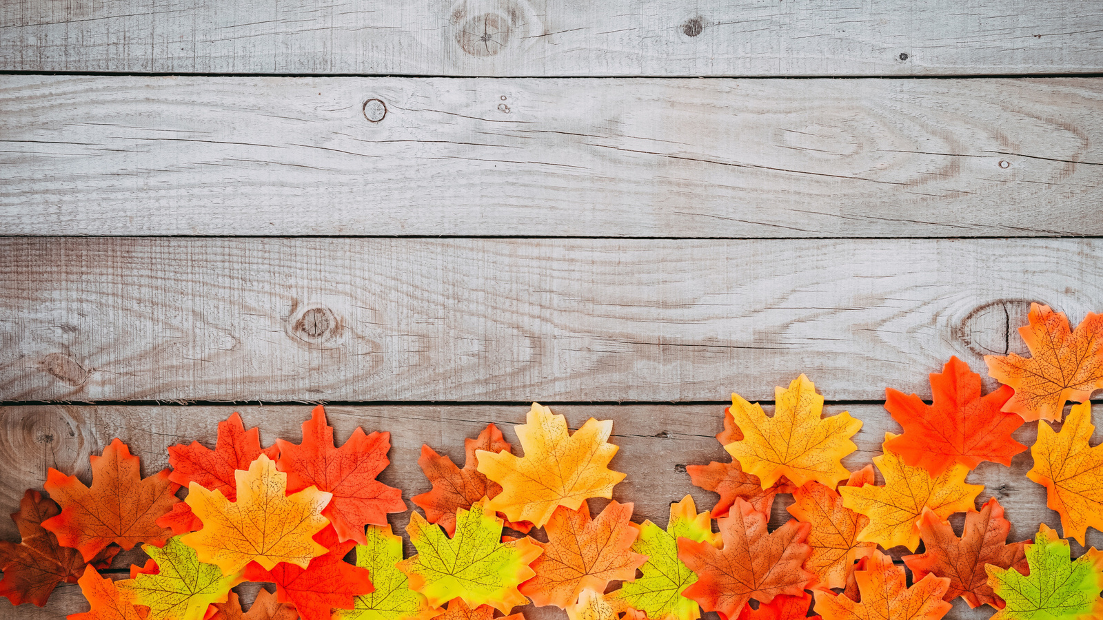 , , , , colorful, wood, background, autumn, leaves, , maple