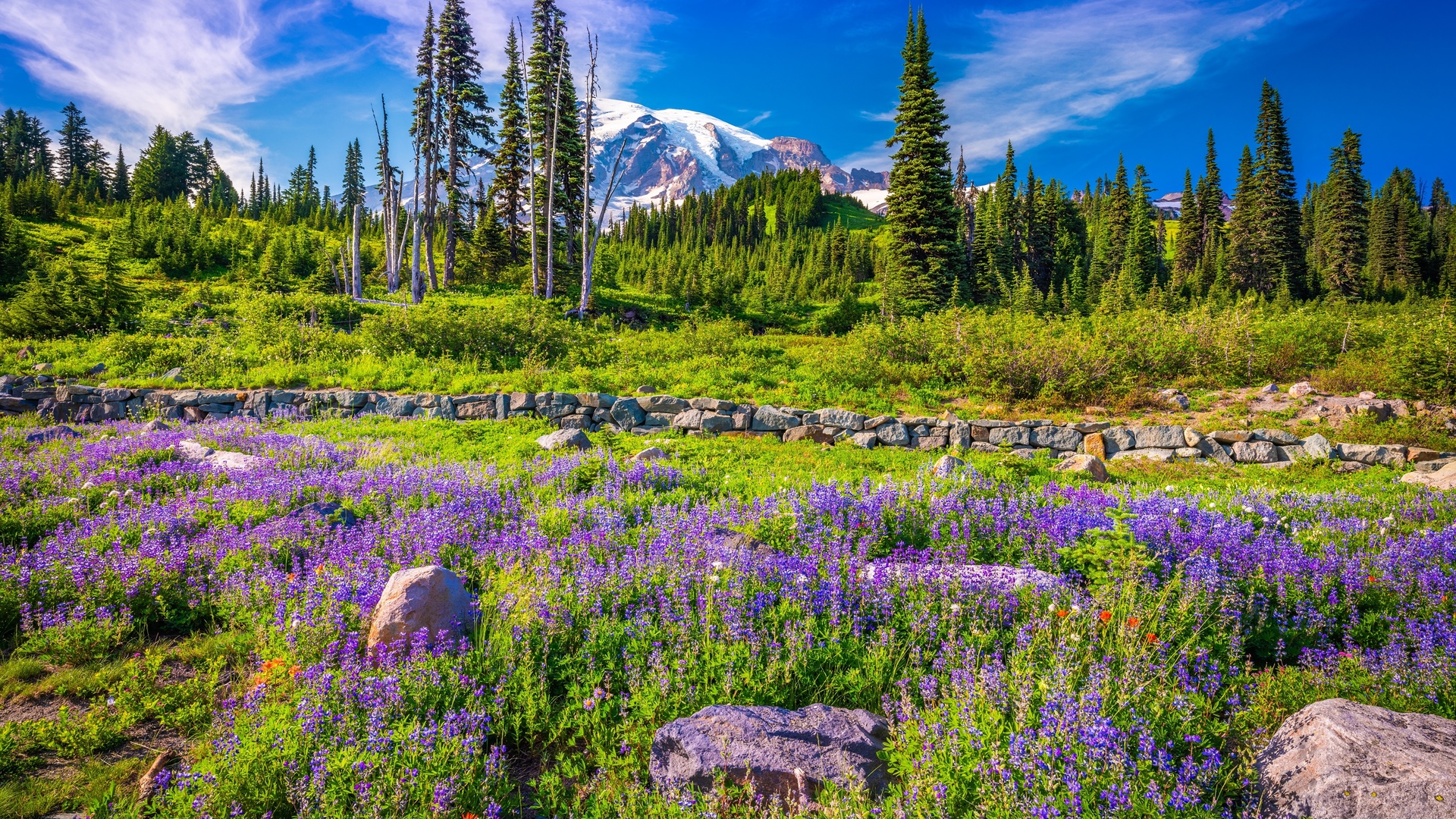 , , , mount rainier, national park, , , 