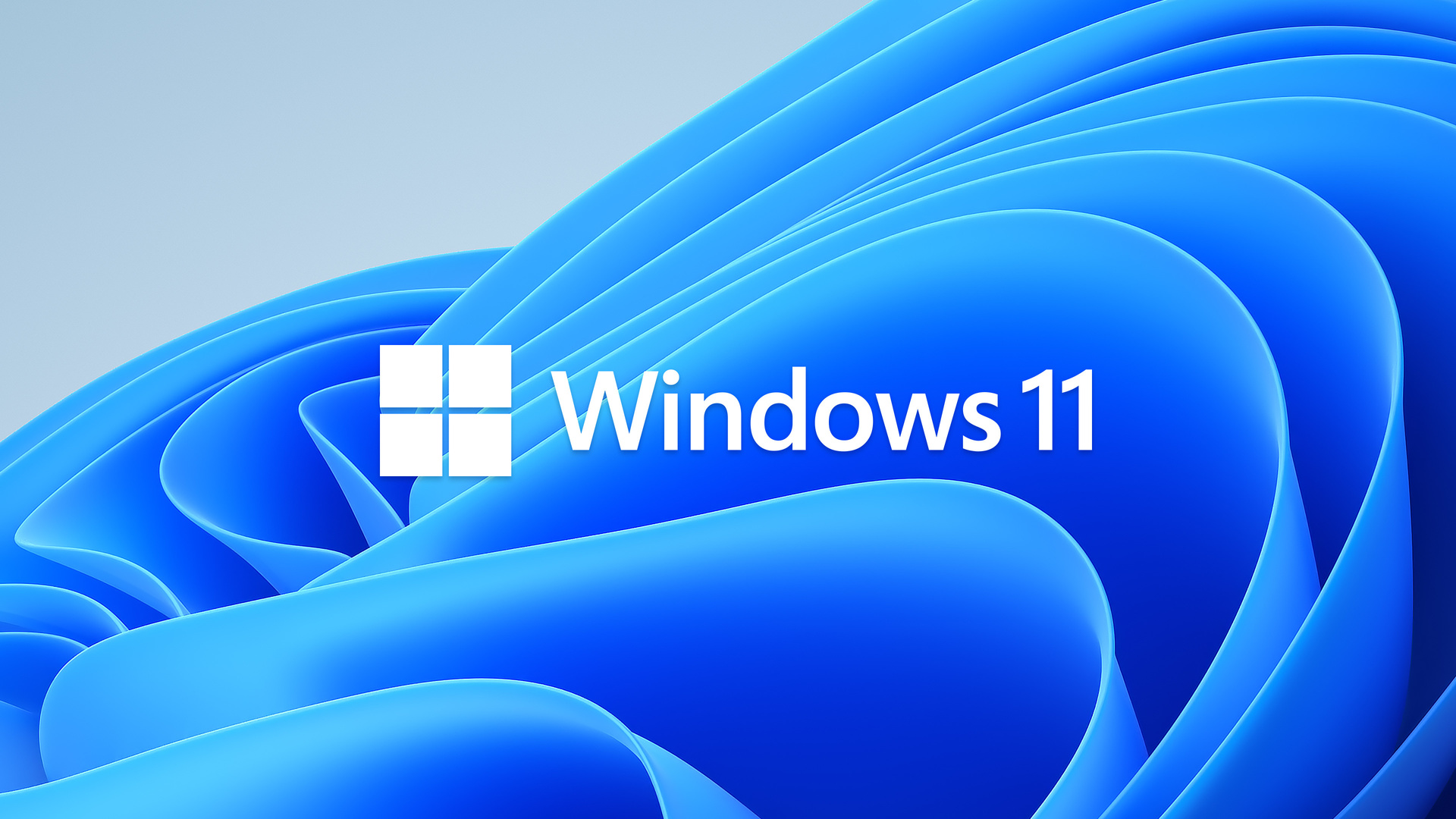 windows, 11