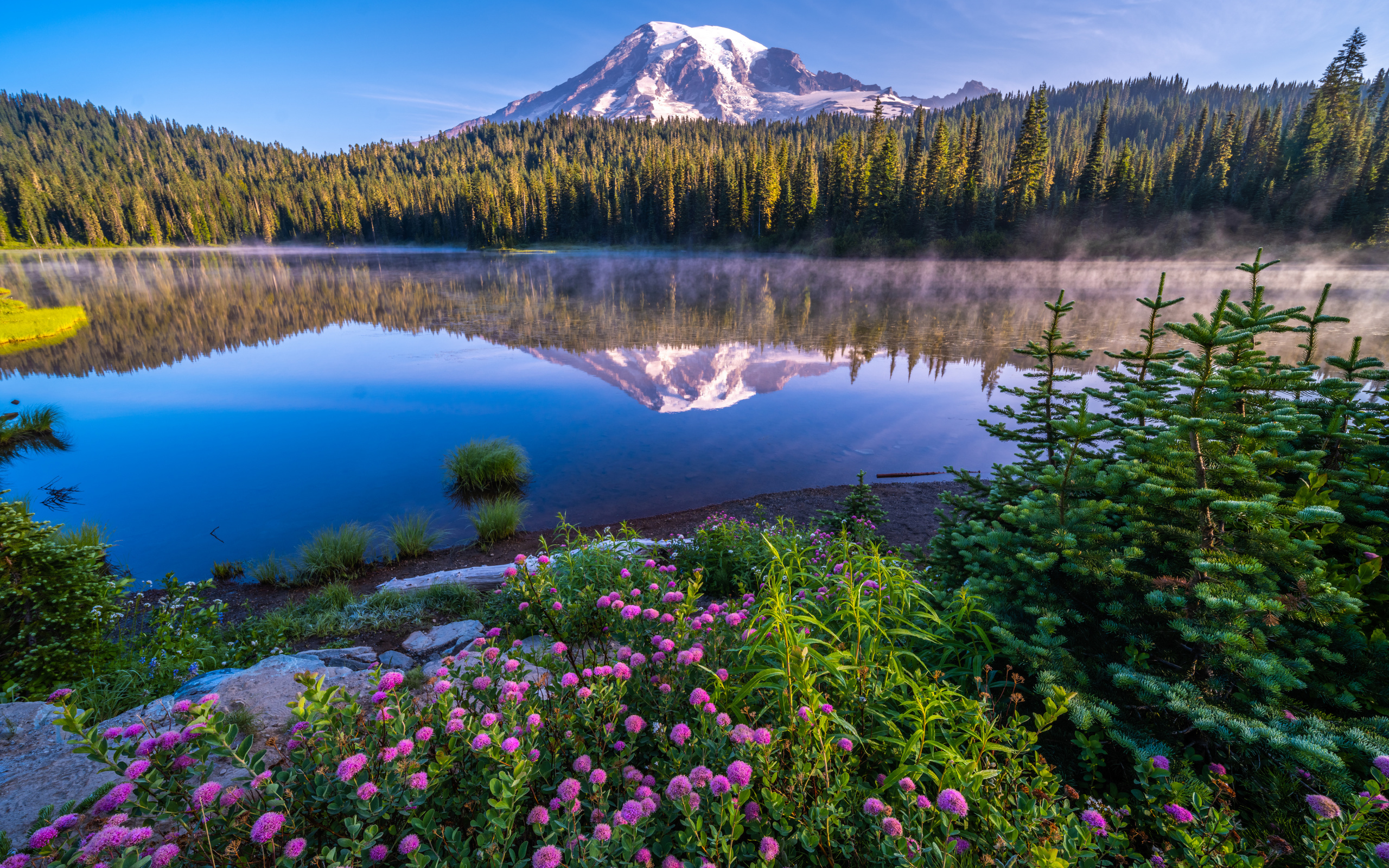 , , , mount rainier, national park, , , 