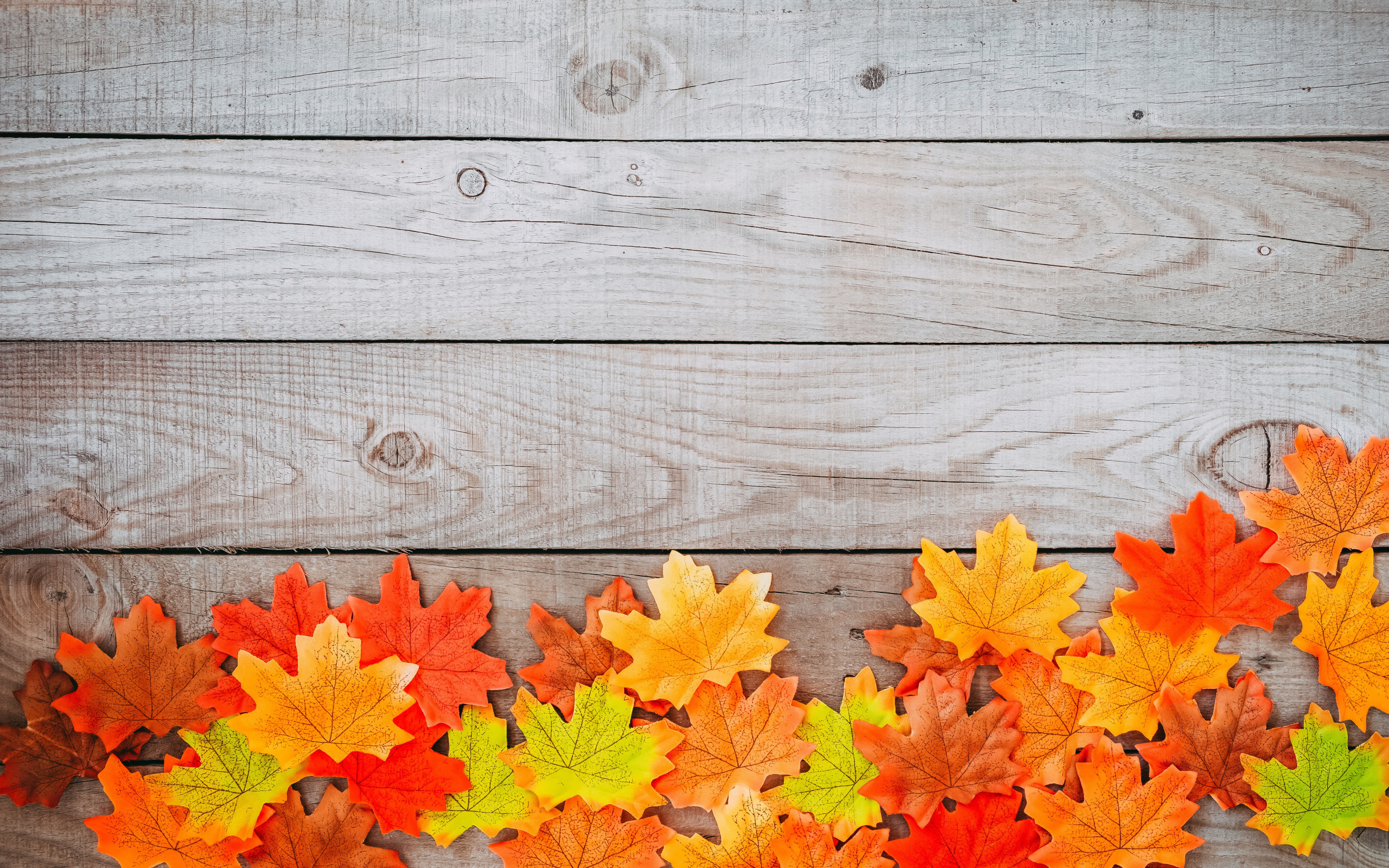 , , , , colorful, wood, background, autumn, leaves, , maple