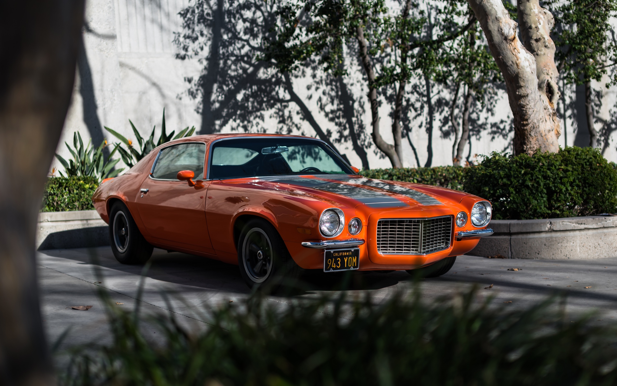 chevrolet, camaro, 1970, z28, rs