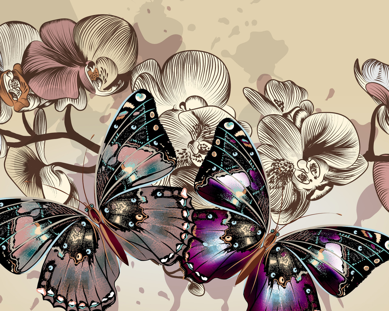 two, multicolored, butterflies, illustration, color, butterfly, flowers, background, hd, wallpaper