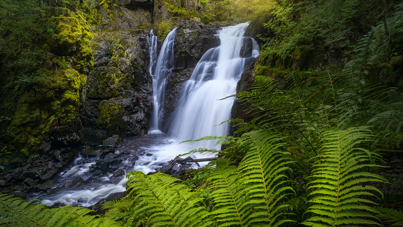 , , ole henrik skjelstad, , , , 