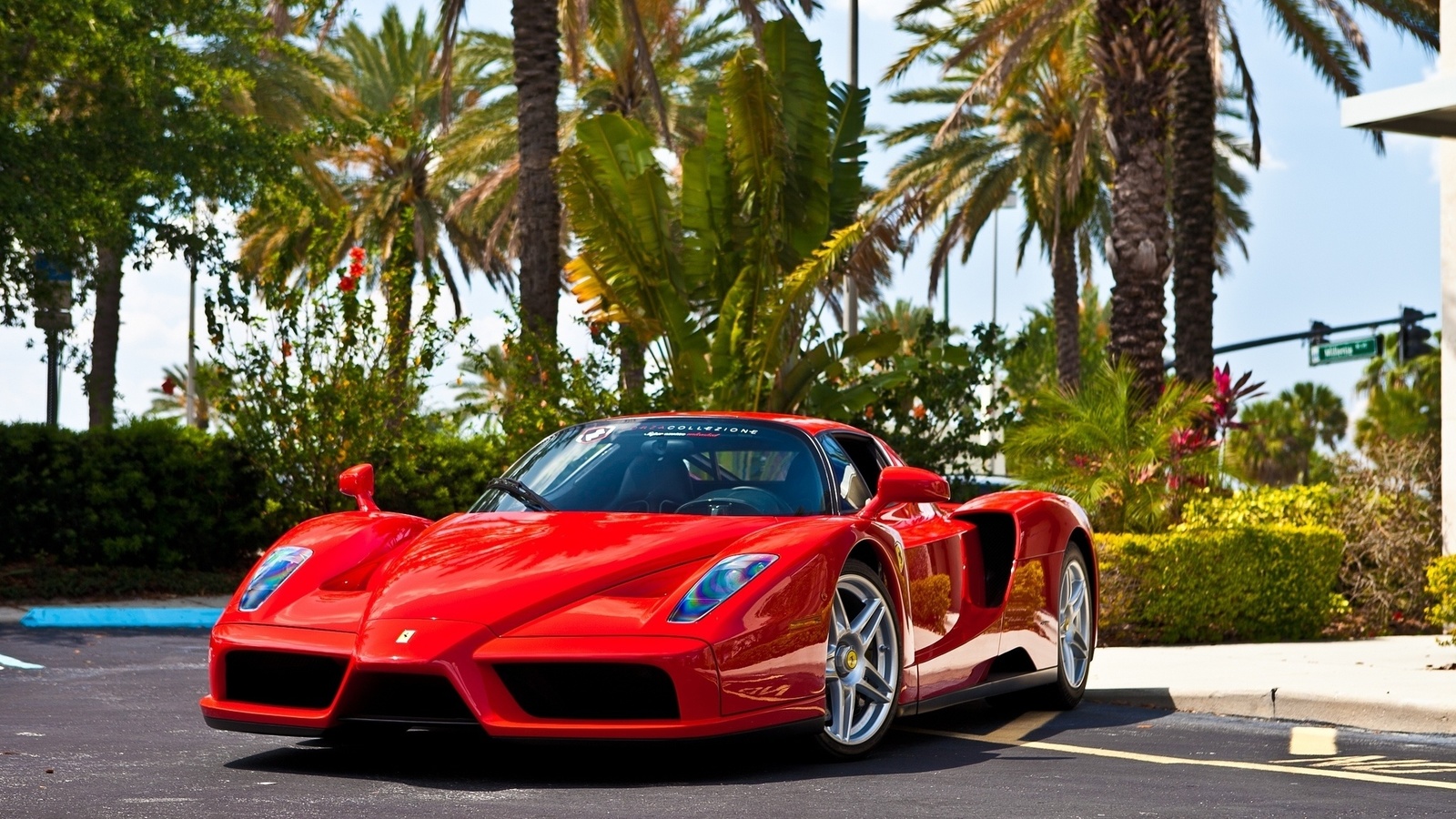 ferrari enzo, f60, enzo ferrari