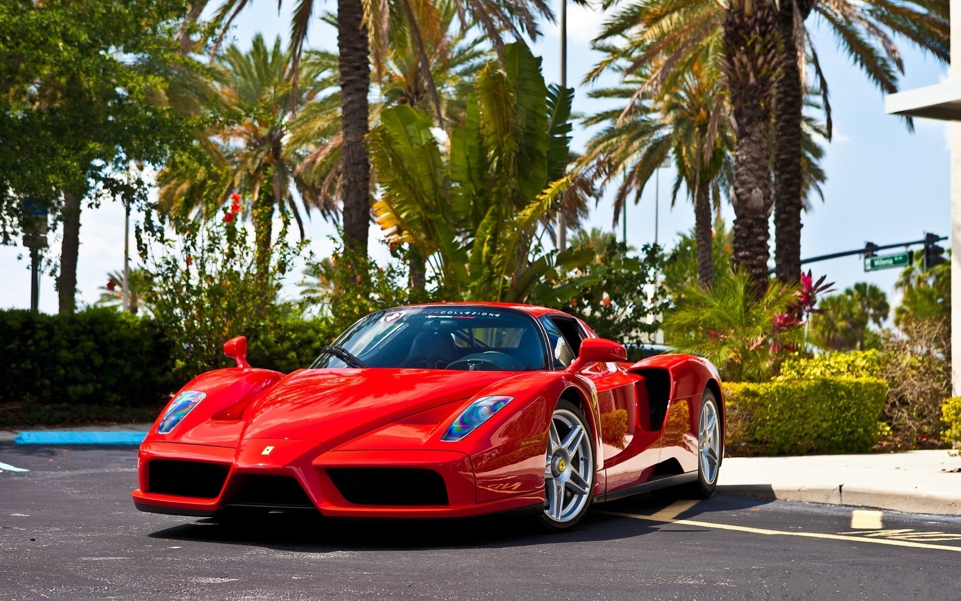 ferrari enzo, f60, enzo ferrari