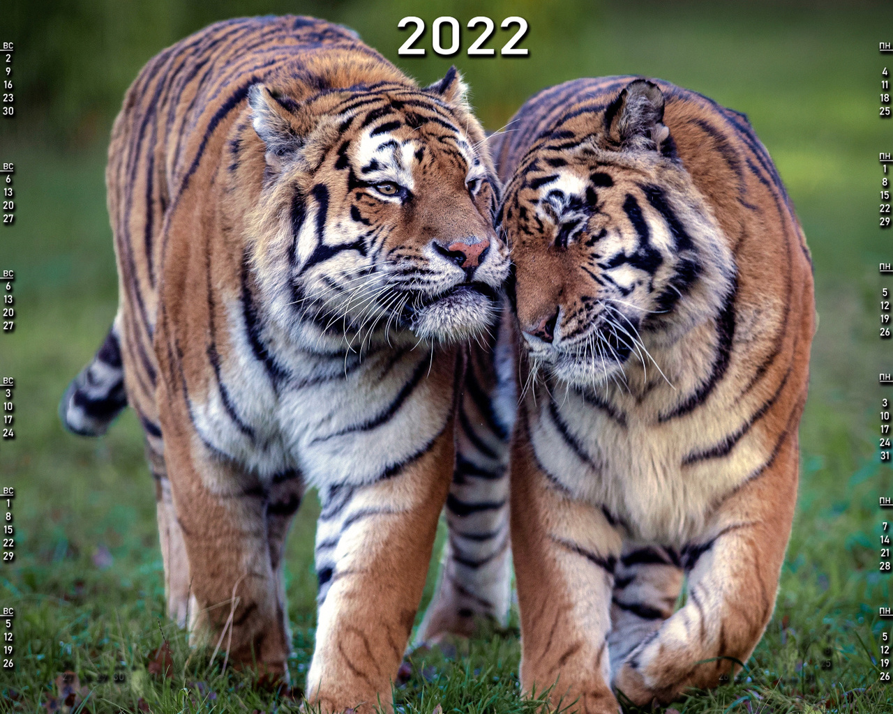 , 2022, 