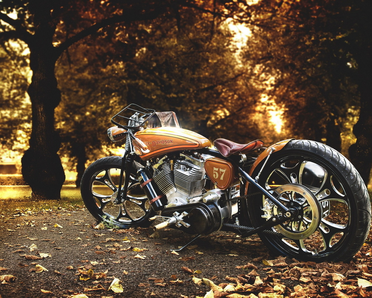 , , , harley davidson, custom