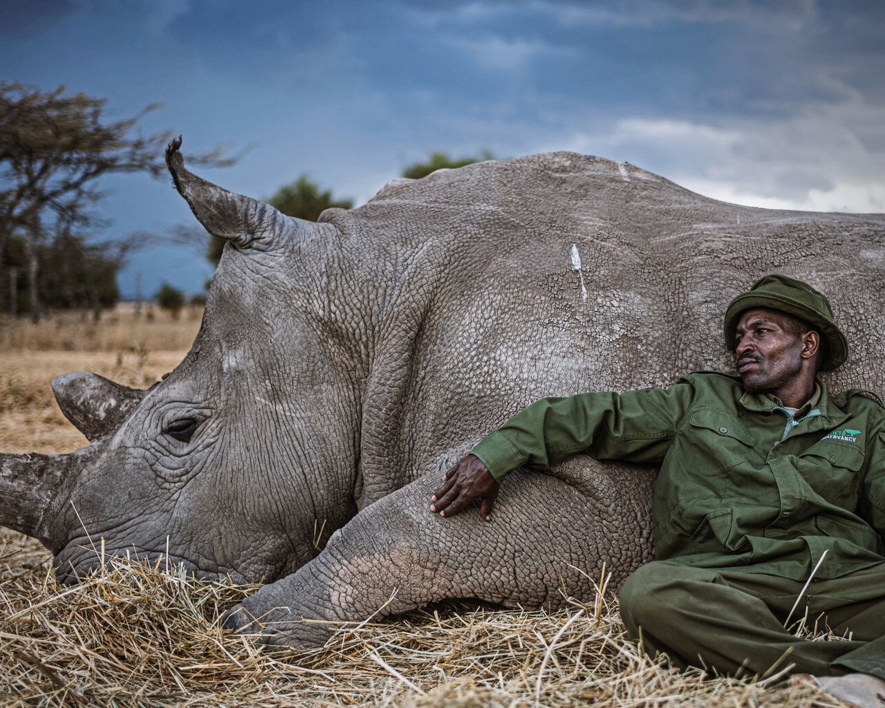  , , leica, white rhino, kenya