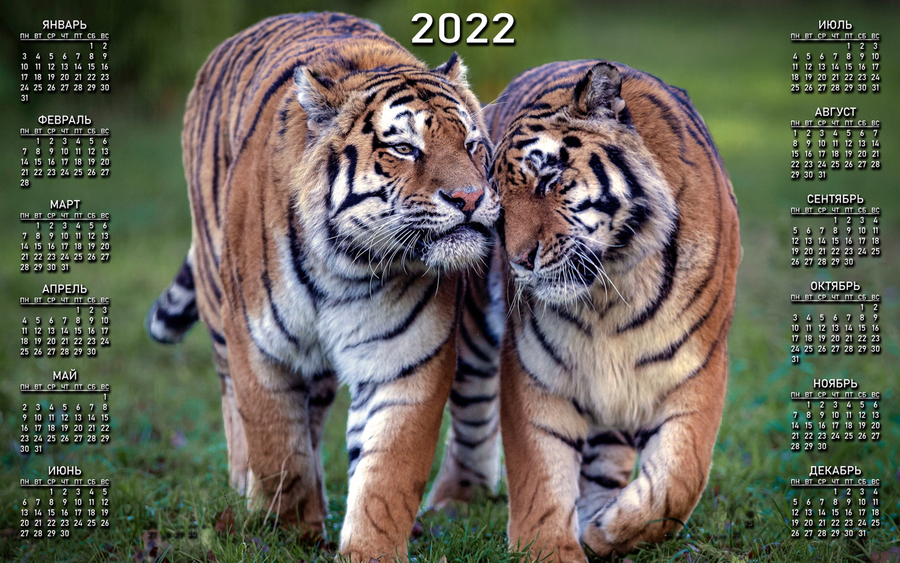 , 2022, 