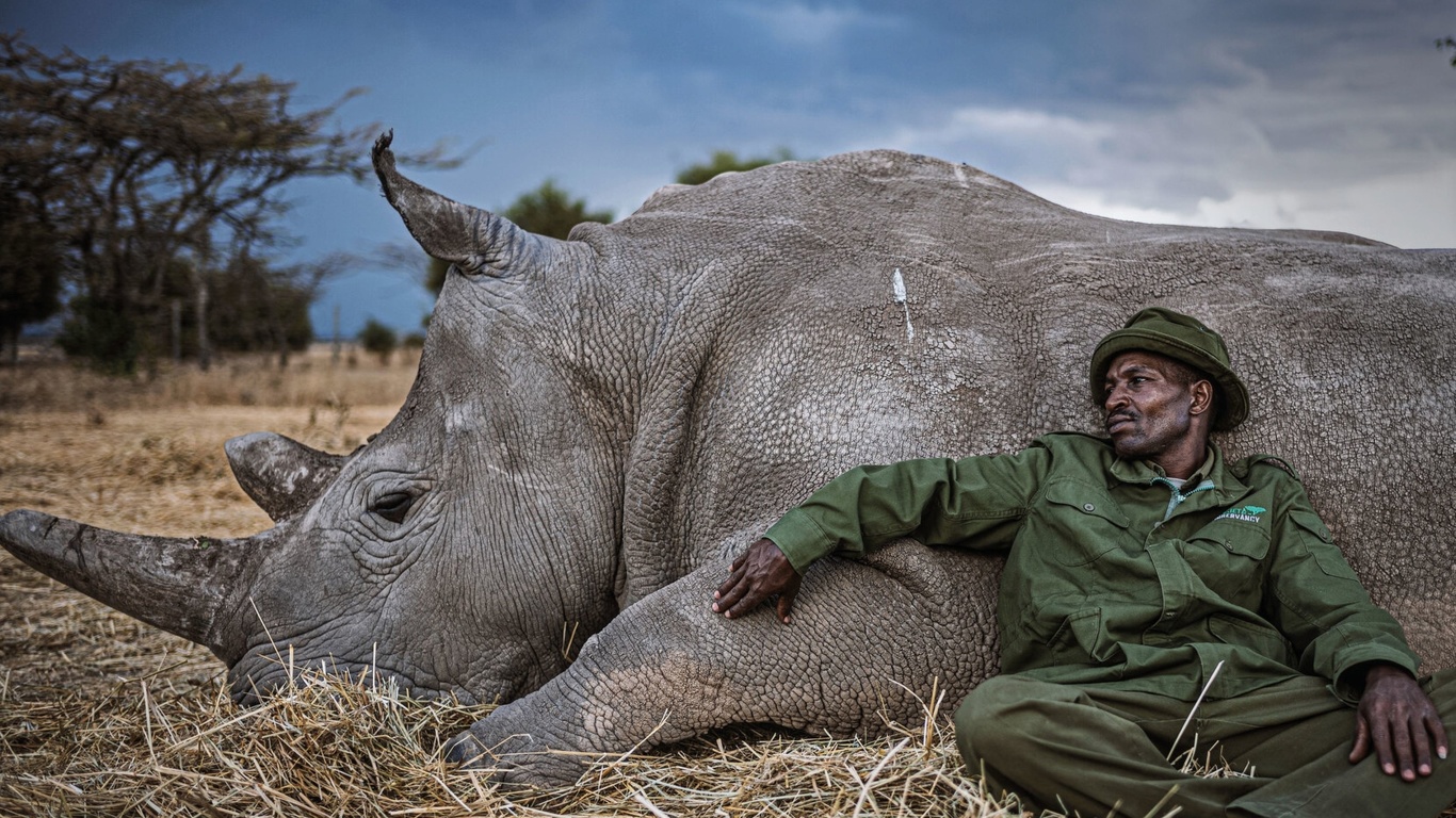  , , leica, white rhino, kenya