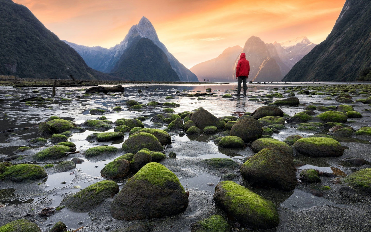  ,  , new zealand, fiordland national park, mitre peak