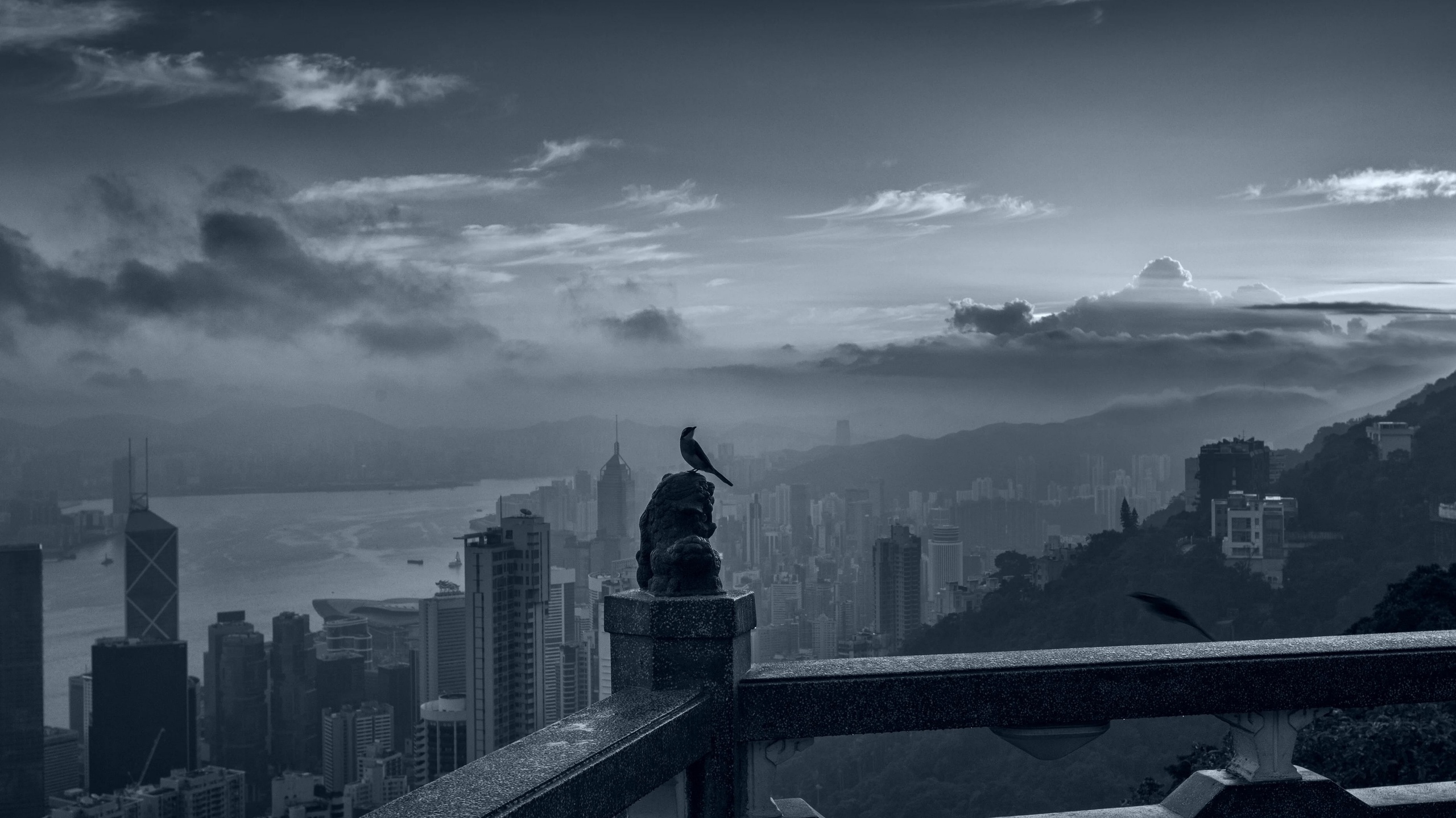 -, , victoria peak, hong kong, mystical moment, calm amid the chaos,   