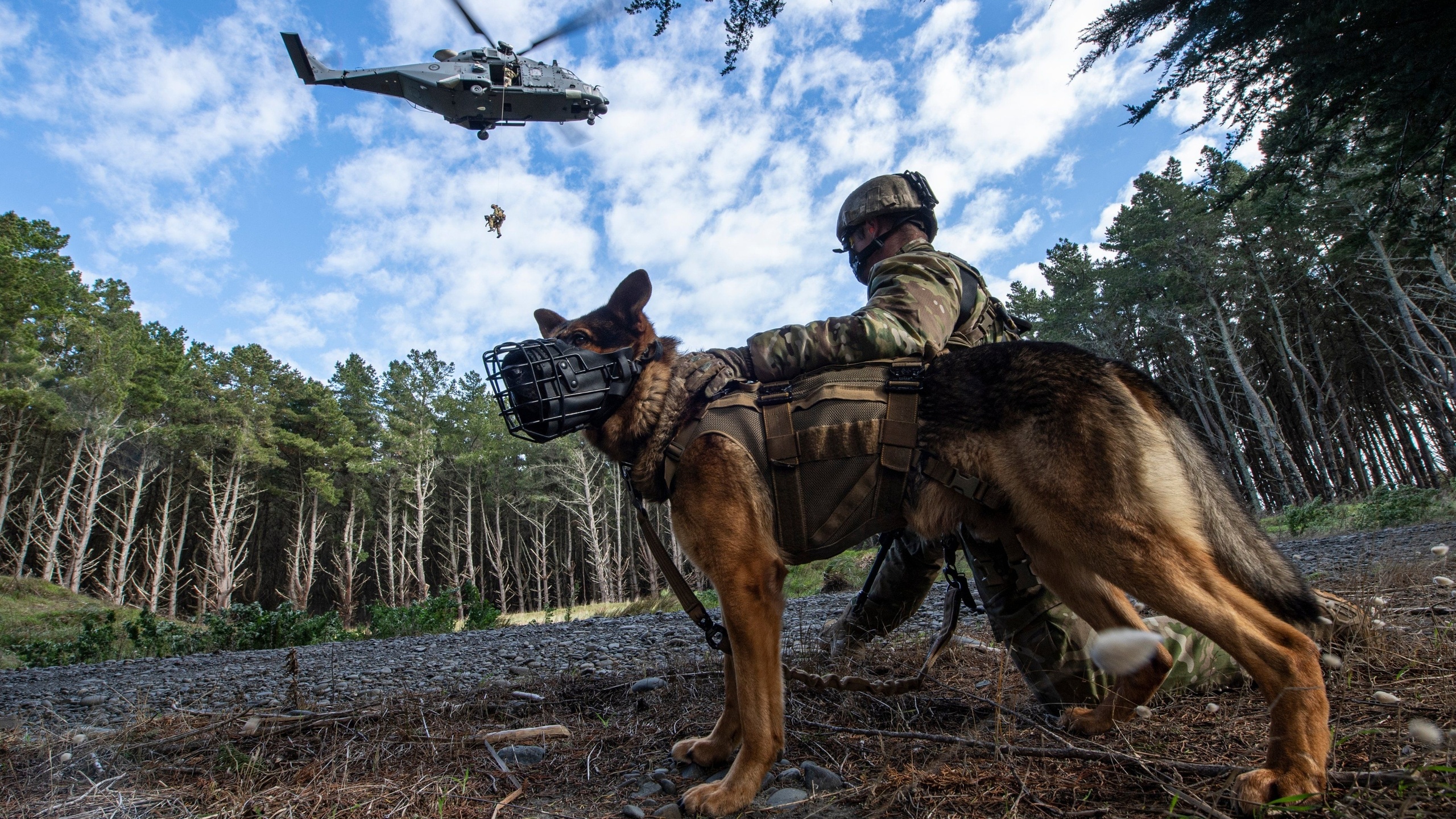 ,  , infantry support dogs, nh90, multi-role military helicopter, new zealand army