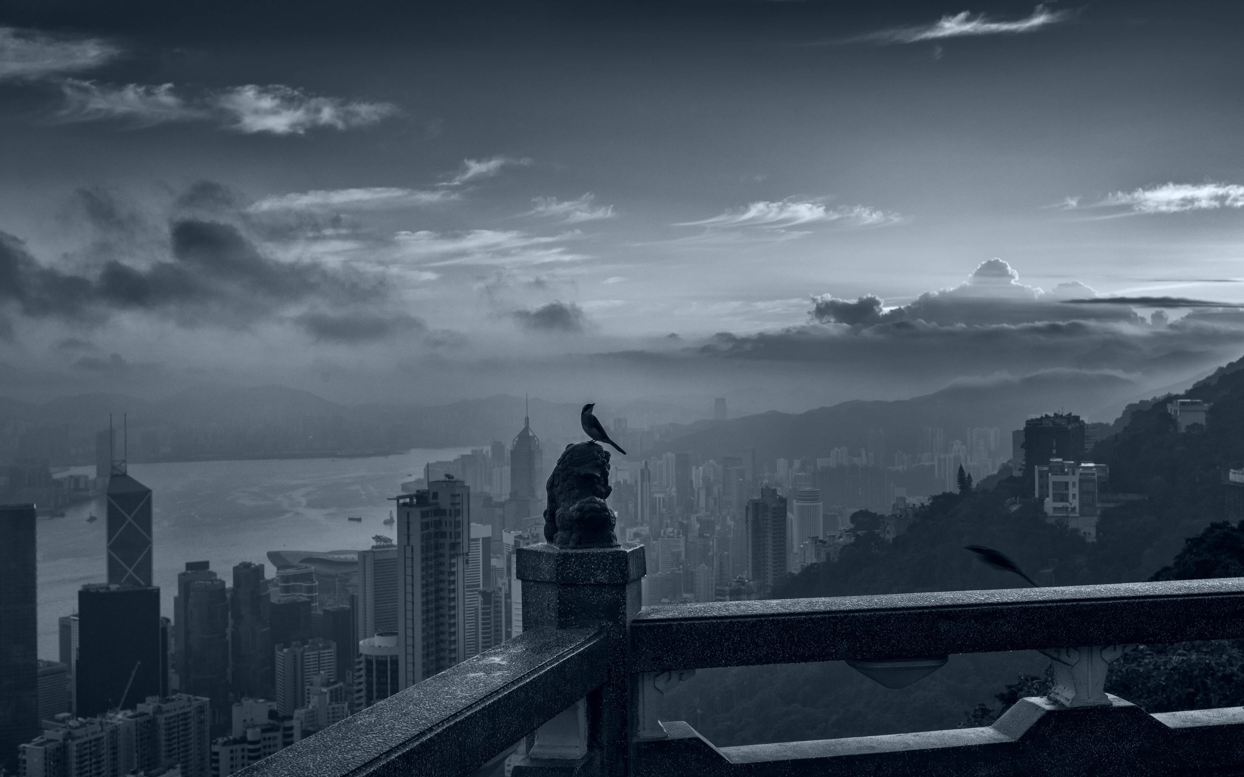 -, , victoria peak, hong kong, mystical moment, calm amid the chaos,   