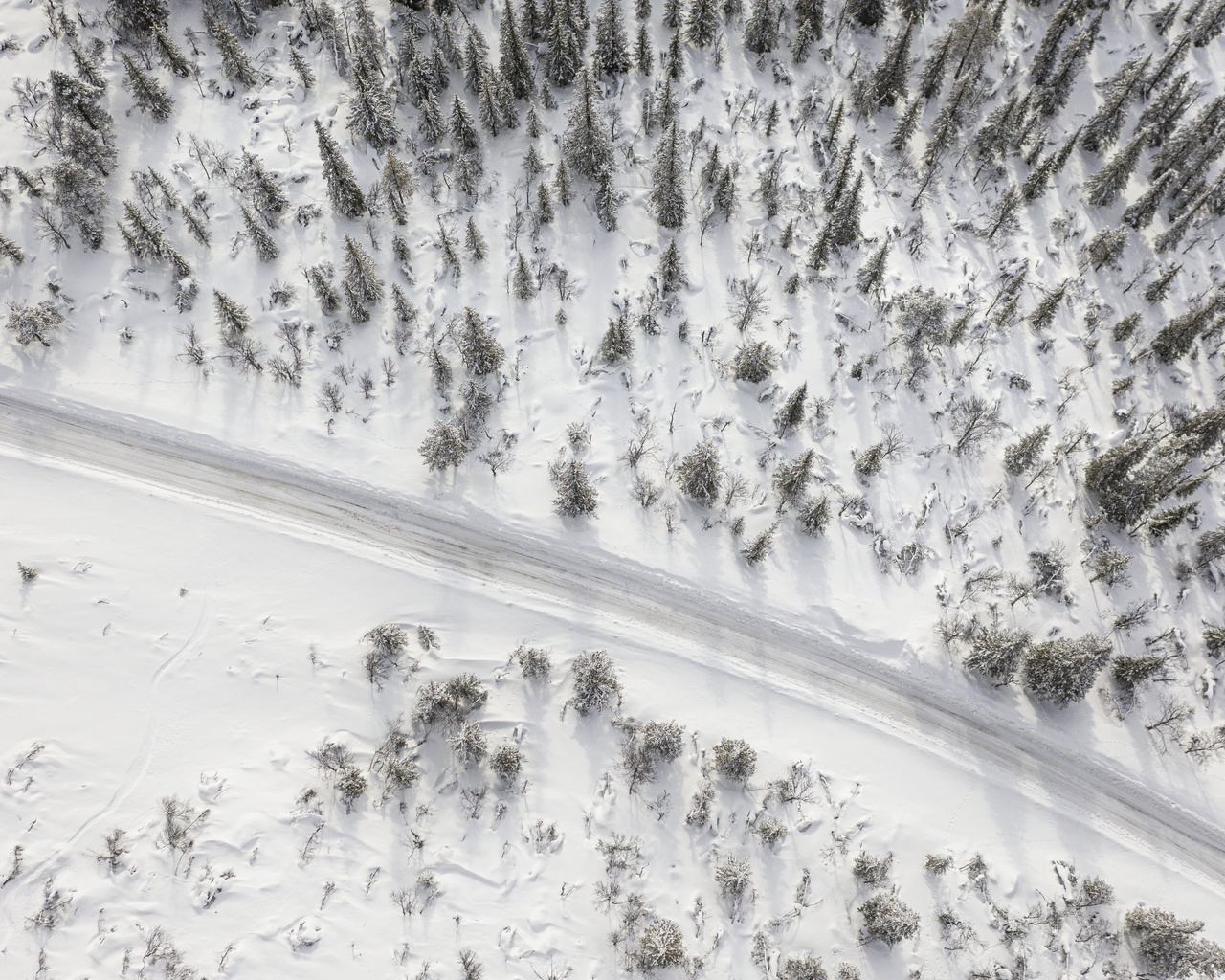 landscape, sweden, , environment, volvo truck corporation