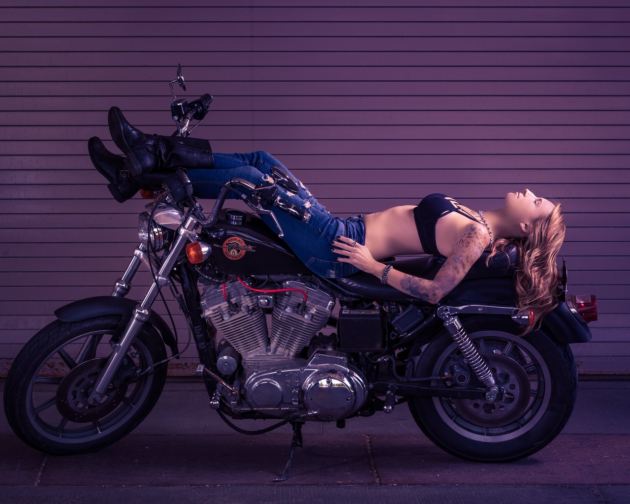 , harley davidson, , 