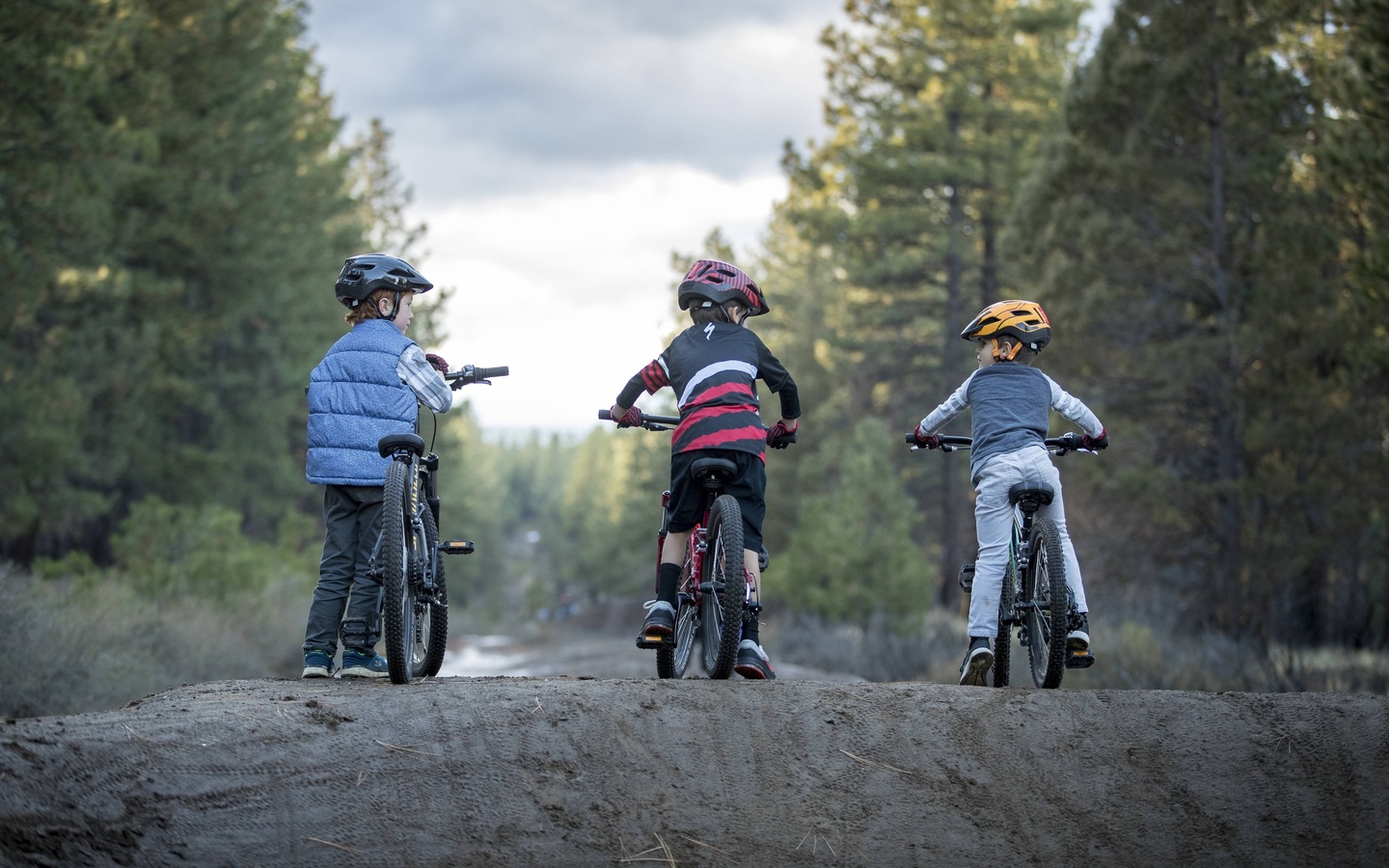 bicycles, children, , , outdoors