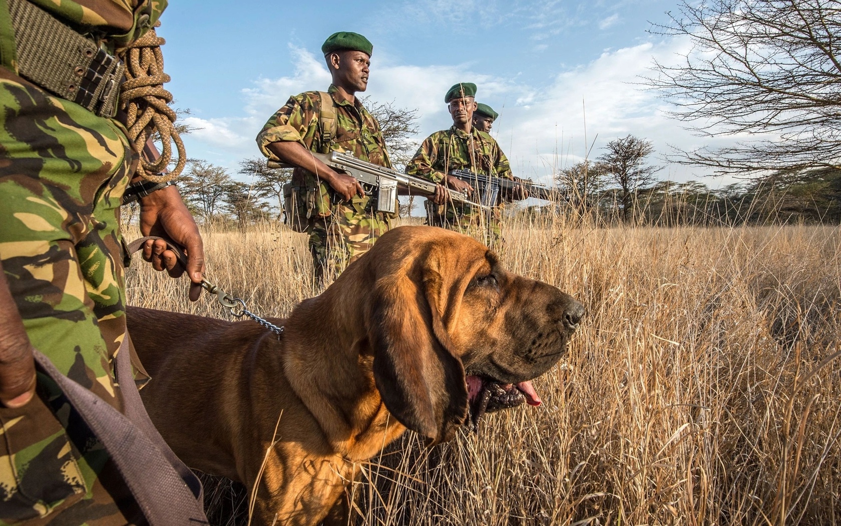 antipoaching patrol, kenya, , wildlife conservancy