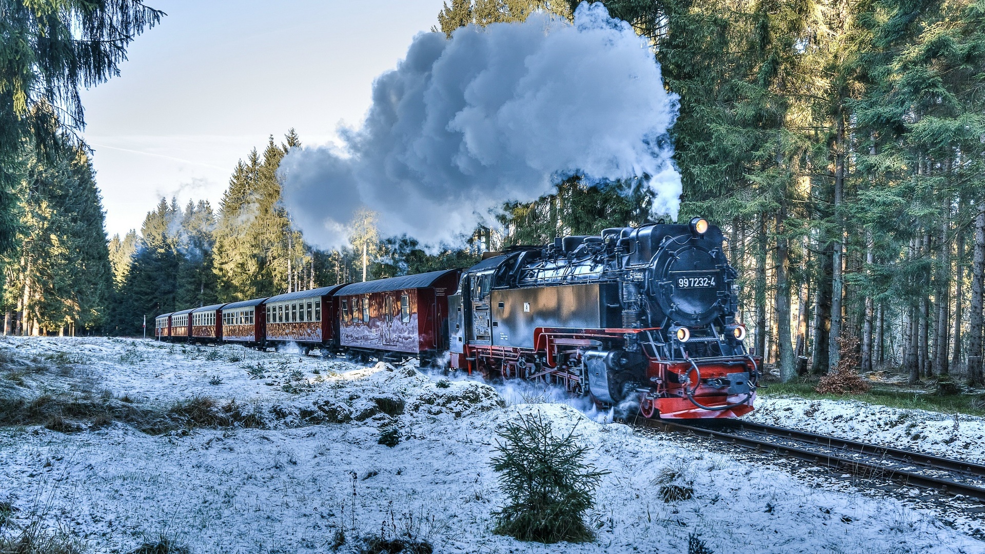 Поезд в зимнем лесу