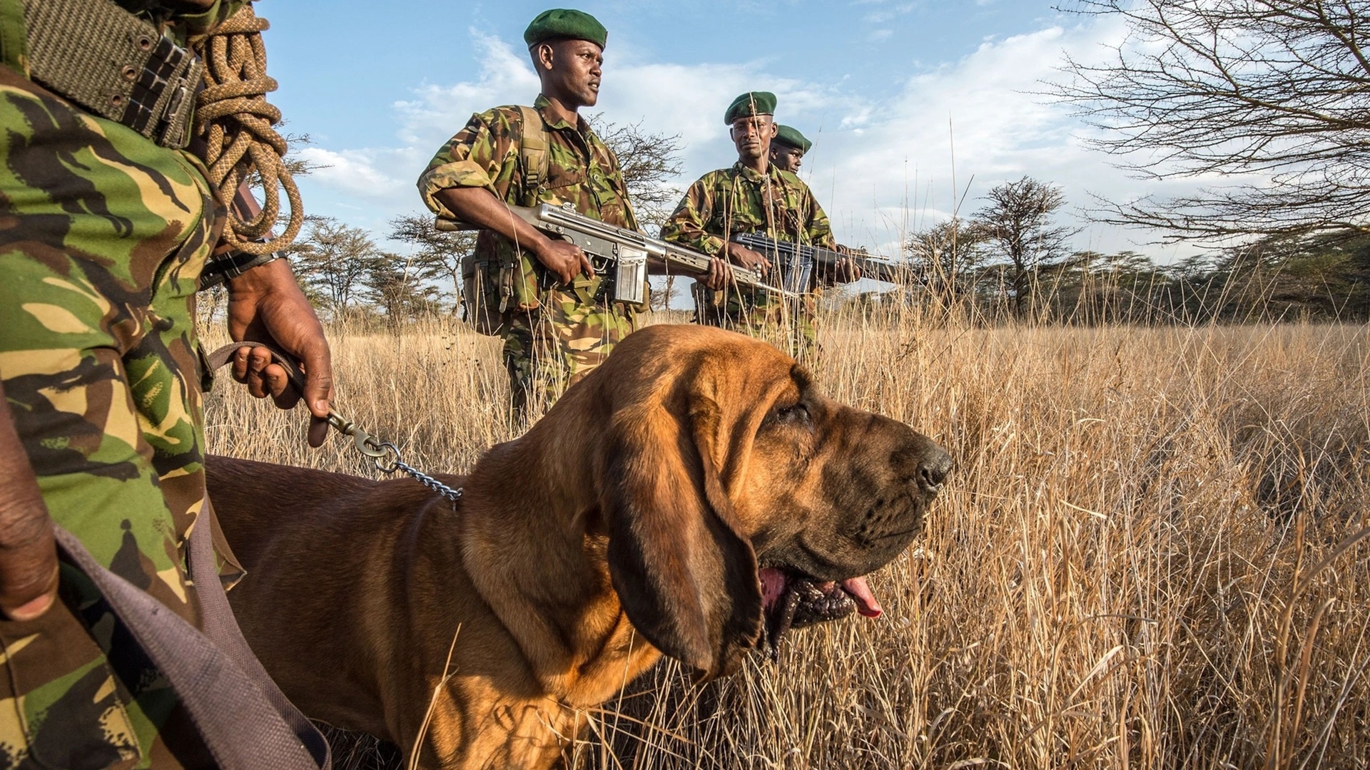 antipoaching patrol, kenya, , wildlife conservancy