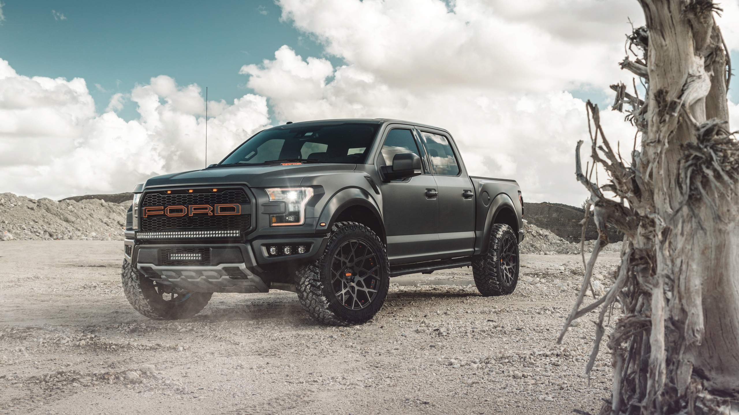 ford, f150, raptor