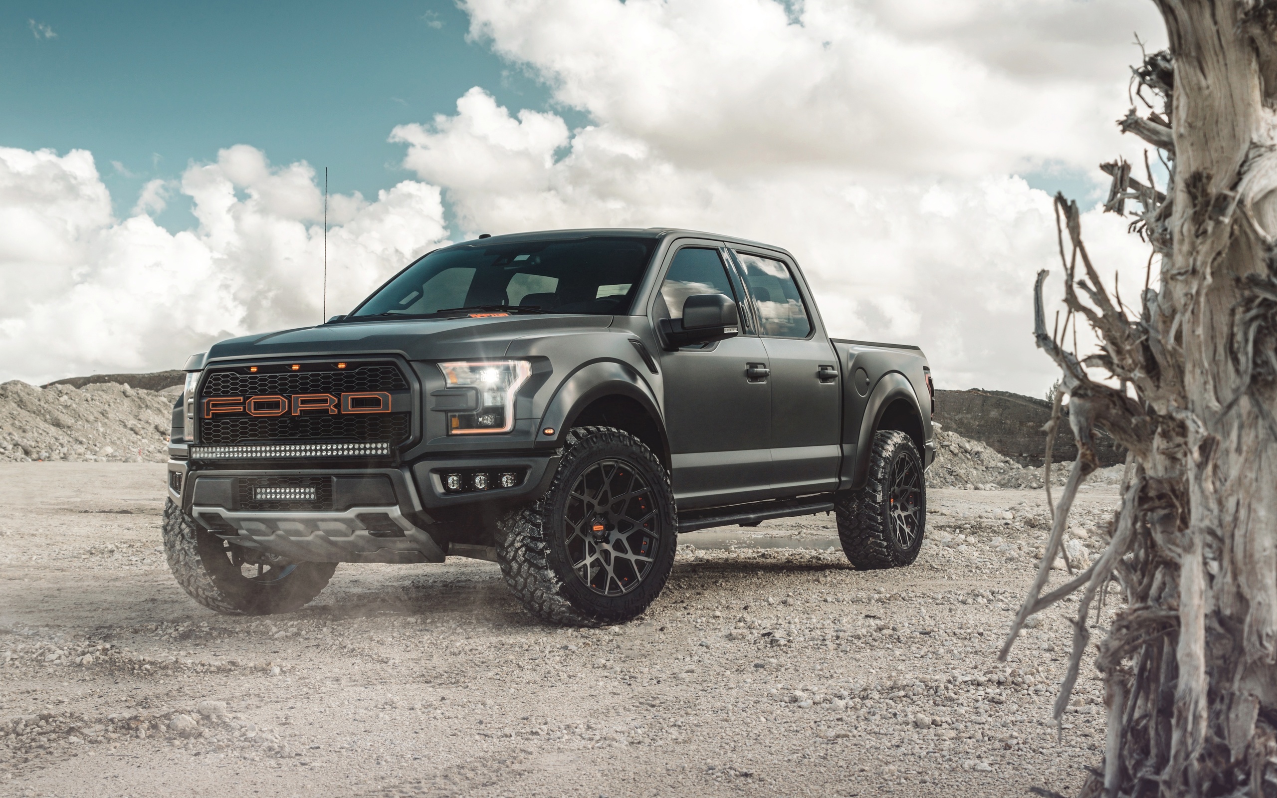 ford, f150, raptor