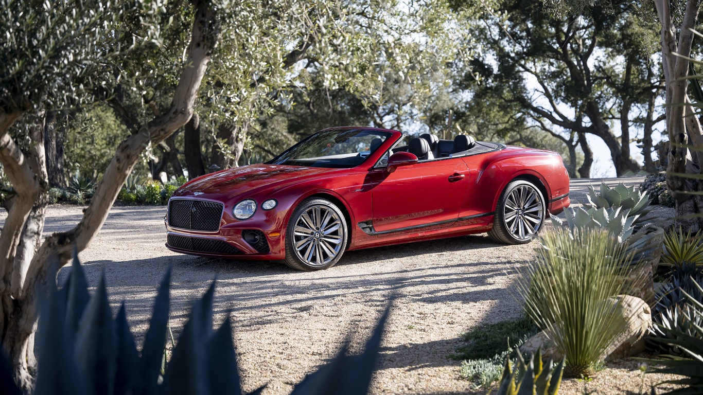 2022, bentley, continental, gt, speed, convertible