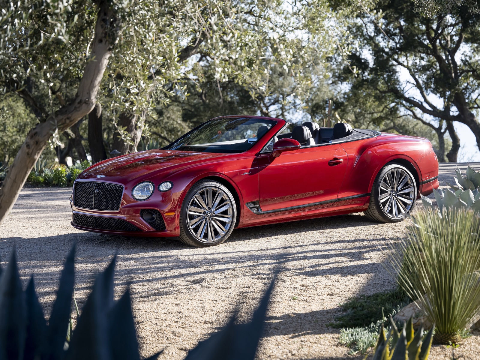 2022, bentley, continental, gt, speed, convertible