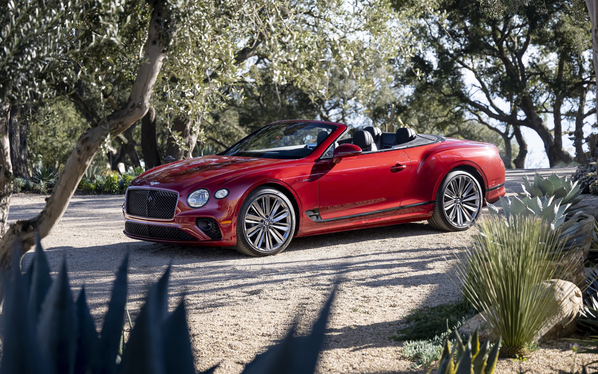 2022, bentley, continental, gt, speed, convertible