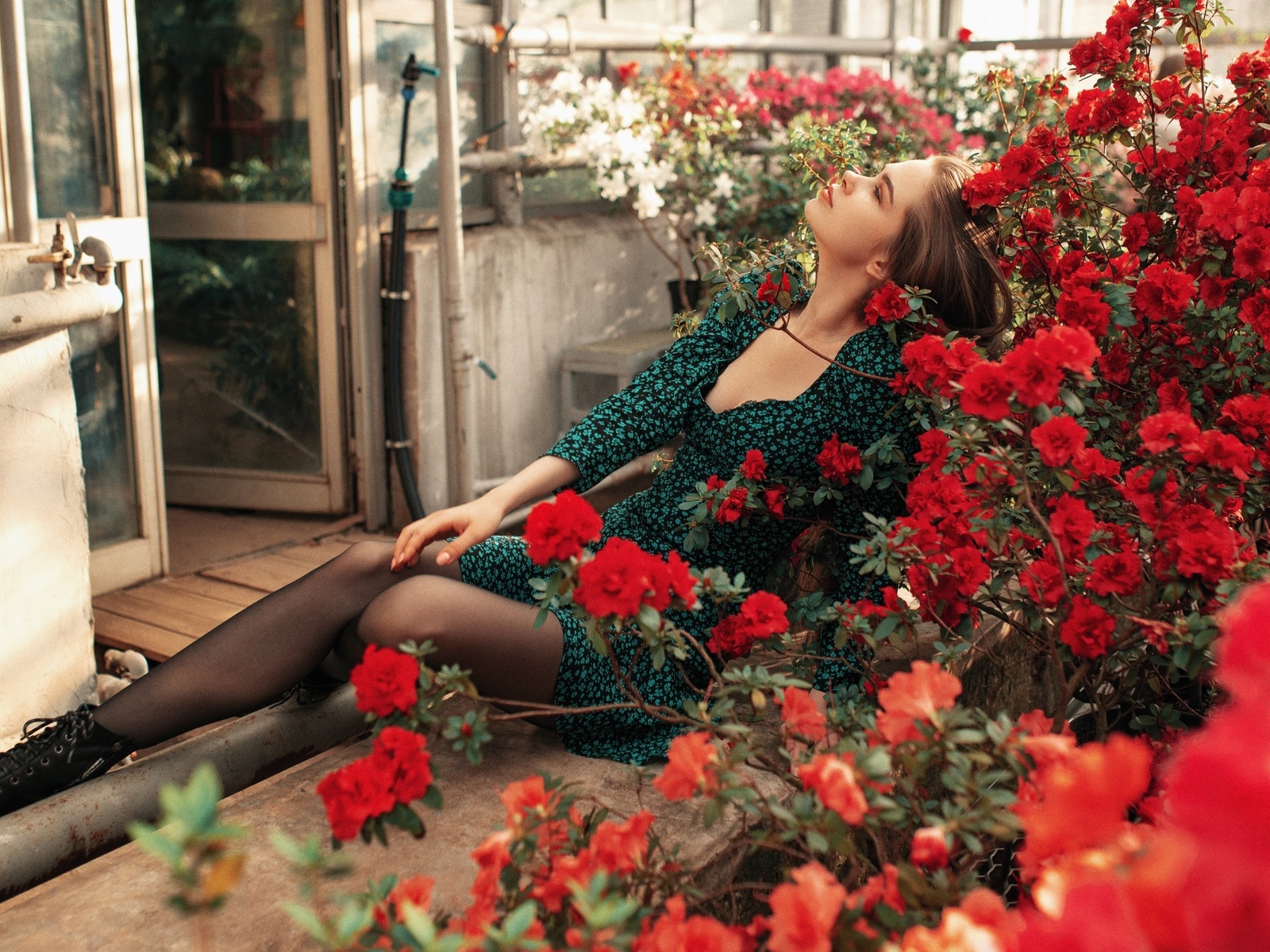 women, model, brunette, women indoors, dress, black stockings, stockings, boots, flowers, sitting, closed eyes