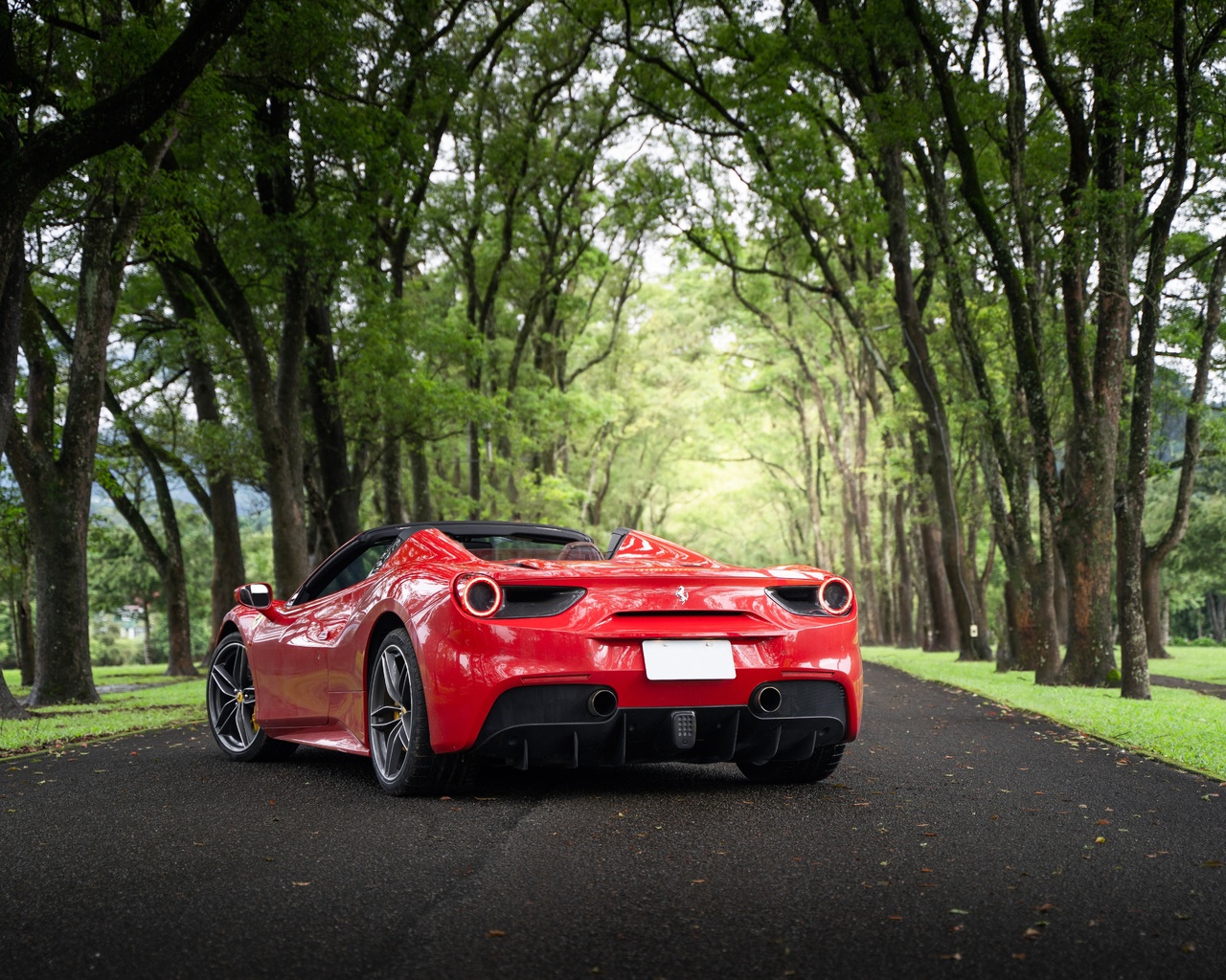 ferrari, 488, spider