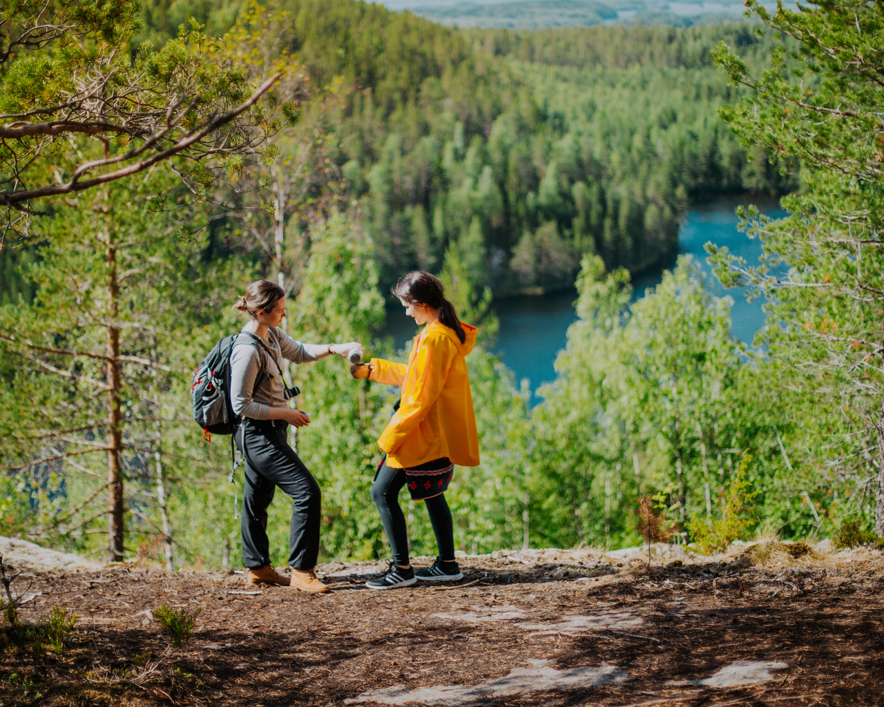 southern konnevesi national park, finland, lakeland