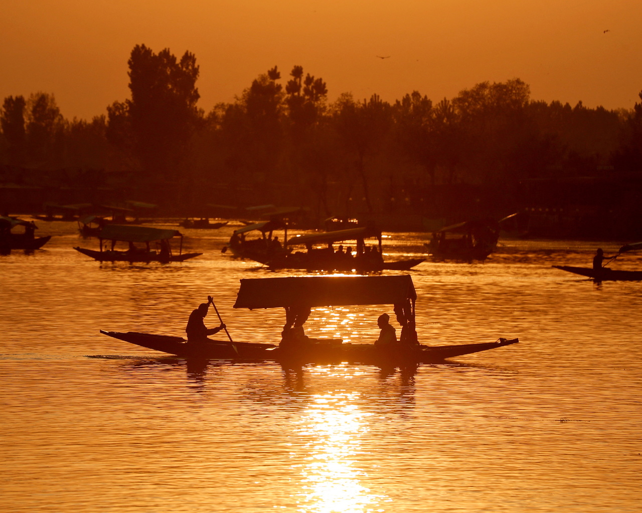 boats, dal lake, jammu and kashmir, india