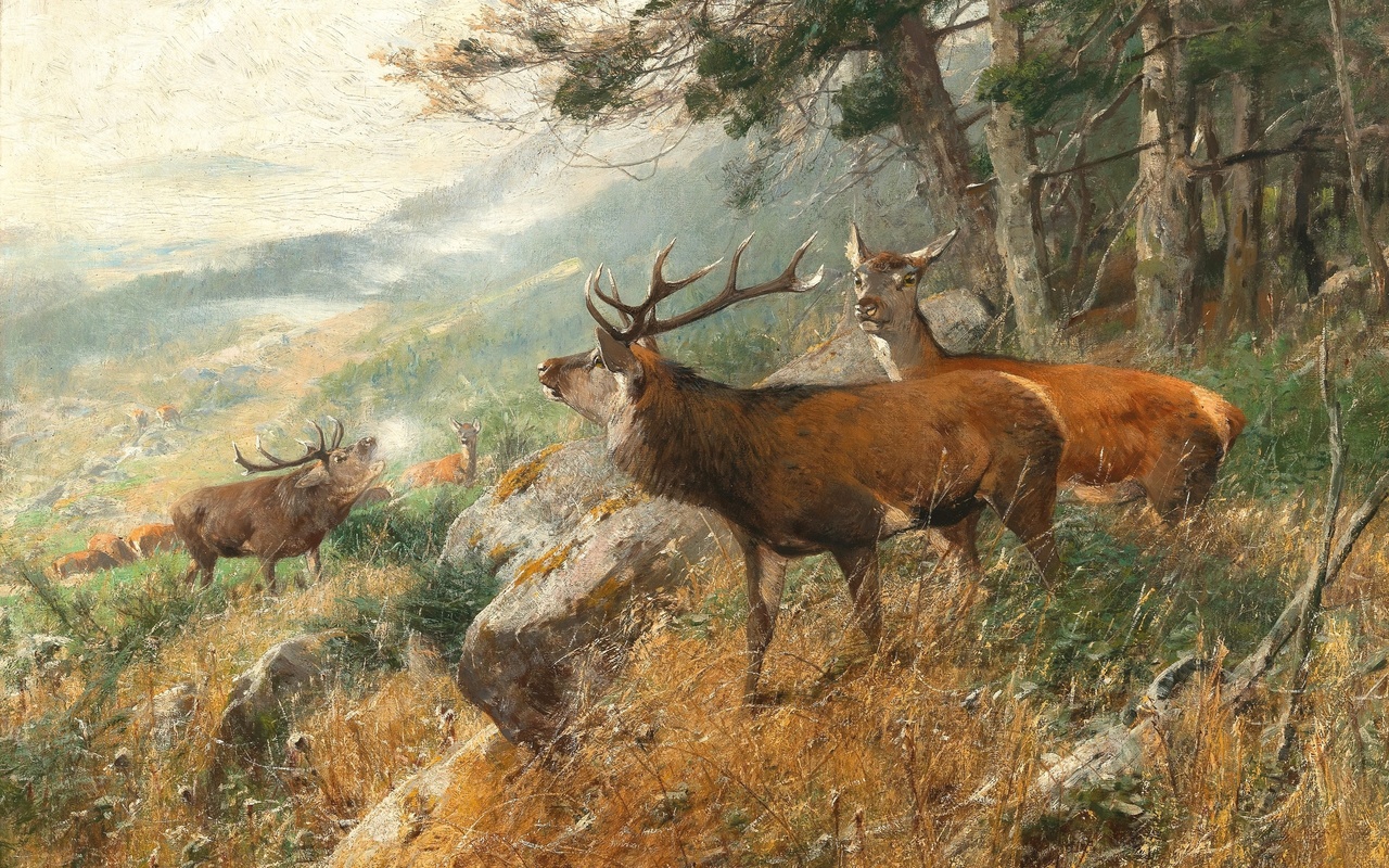 christian kroner, german, 1893, deer in the clearing