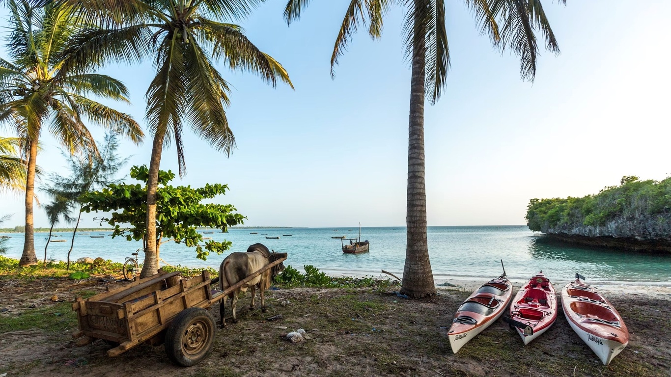 indian ocean, zanzibar, kayaking