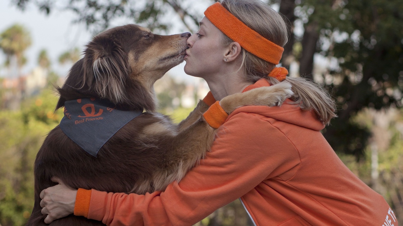 amanda seyfried, shelter pets campaign, rescue dog finn